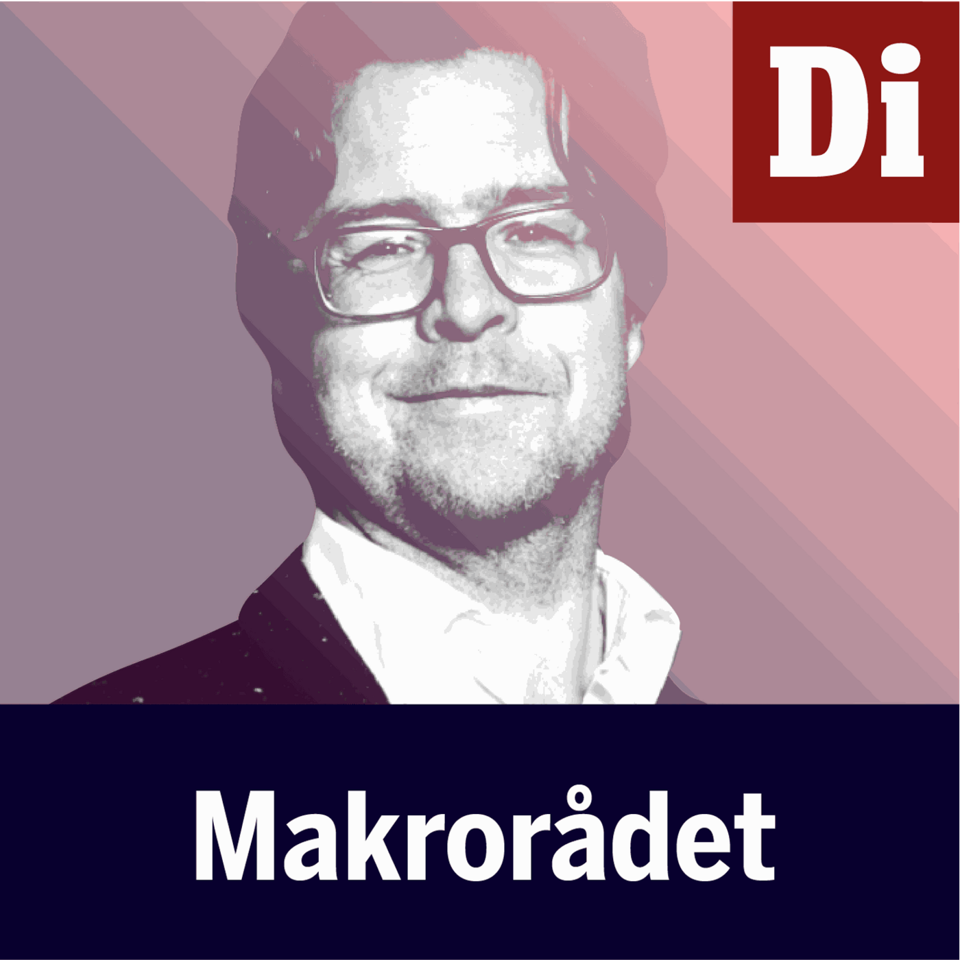 Makrorådet: "Elpriset är jokern i inflationsleken"