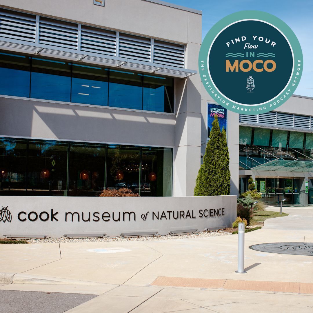 Find Your Flow at the Cook Museum of Natural Science