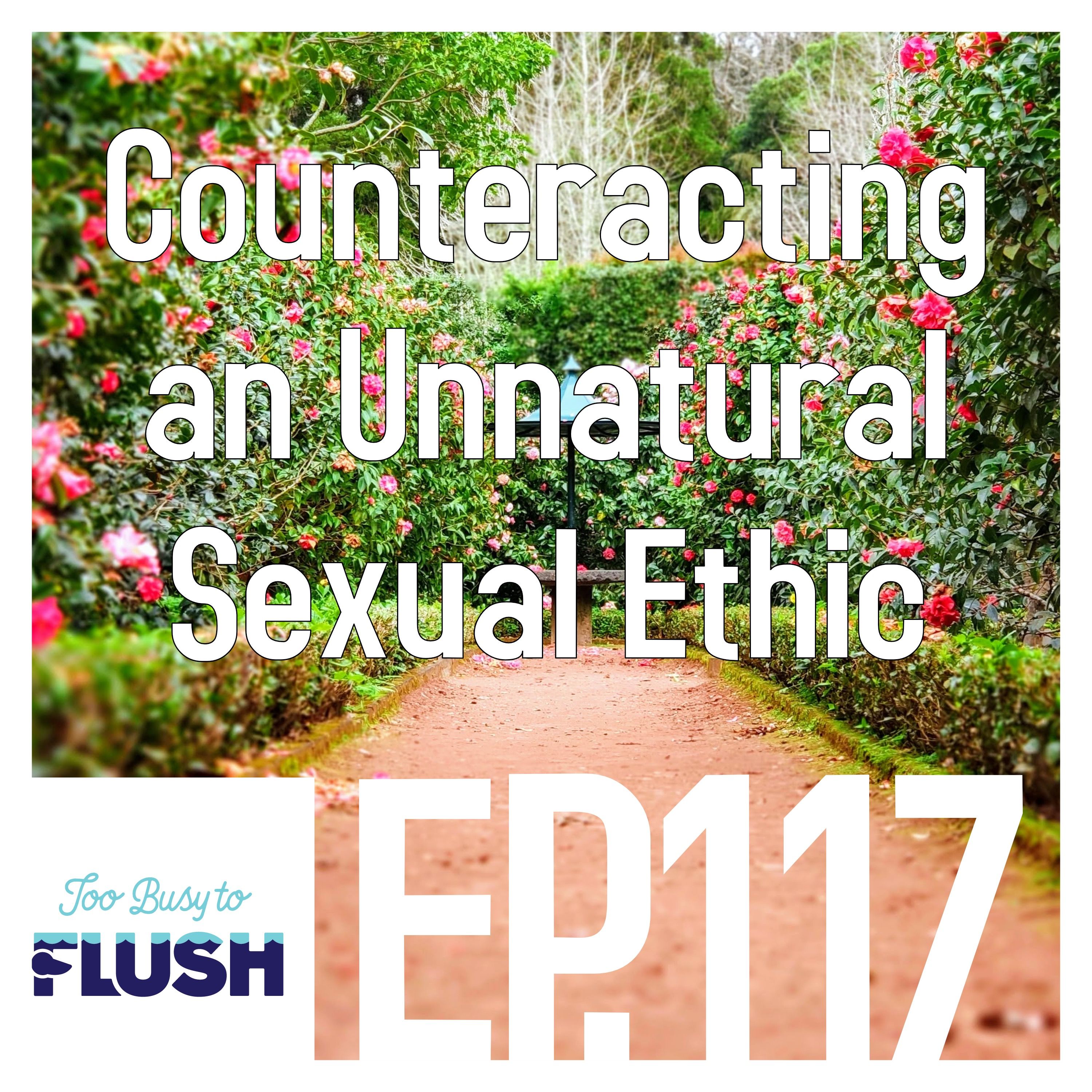 Counteracting an Unnatural Sexual Ethic