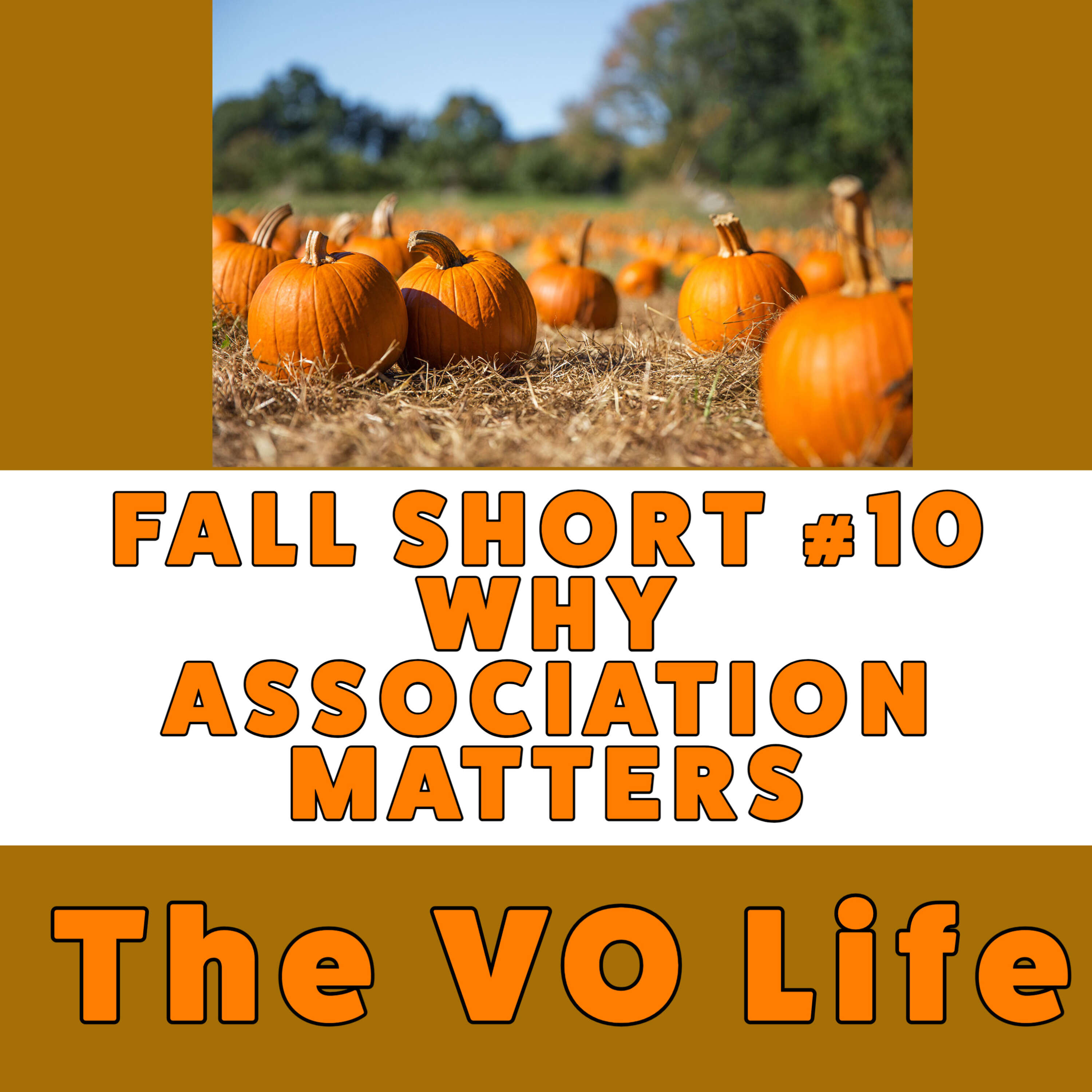 The VO Life Ep 84 - Shorts Final - Why 'Association' Matters