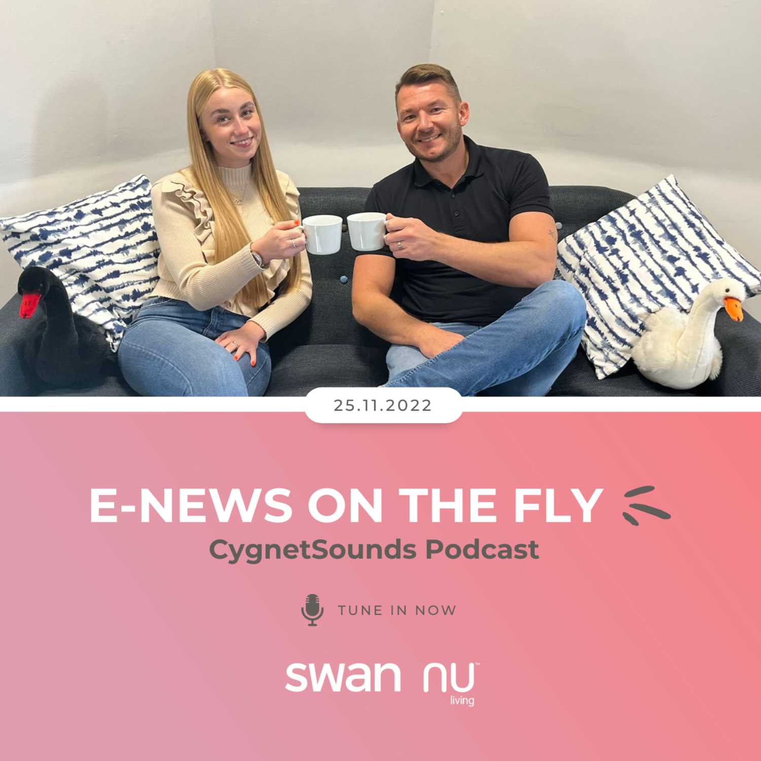 E-News on the Fly 25.11.22