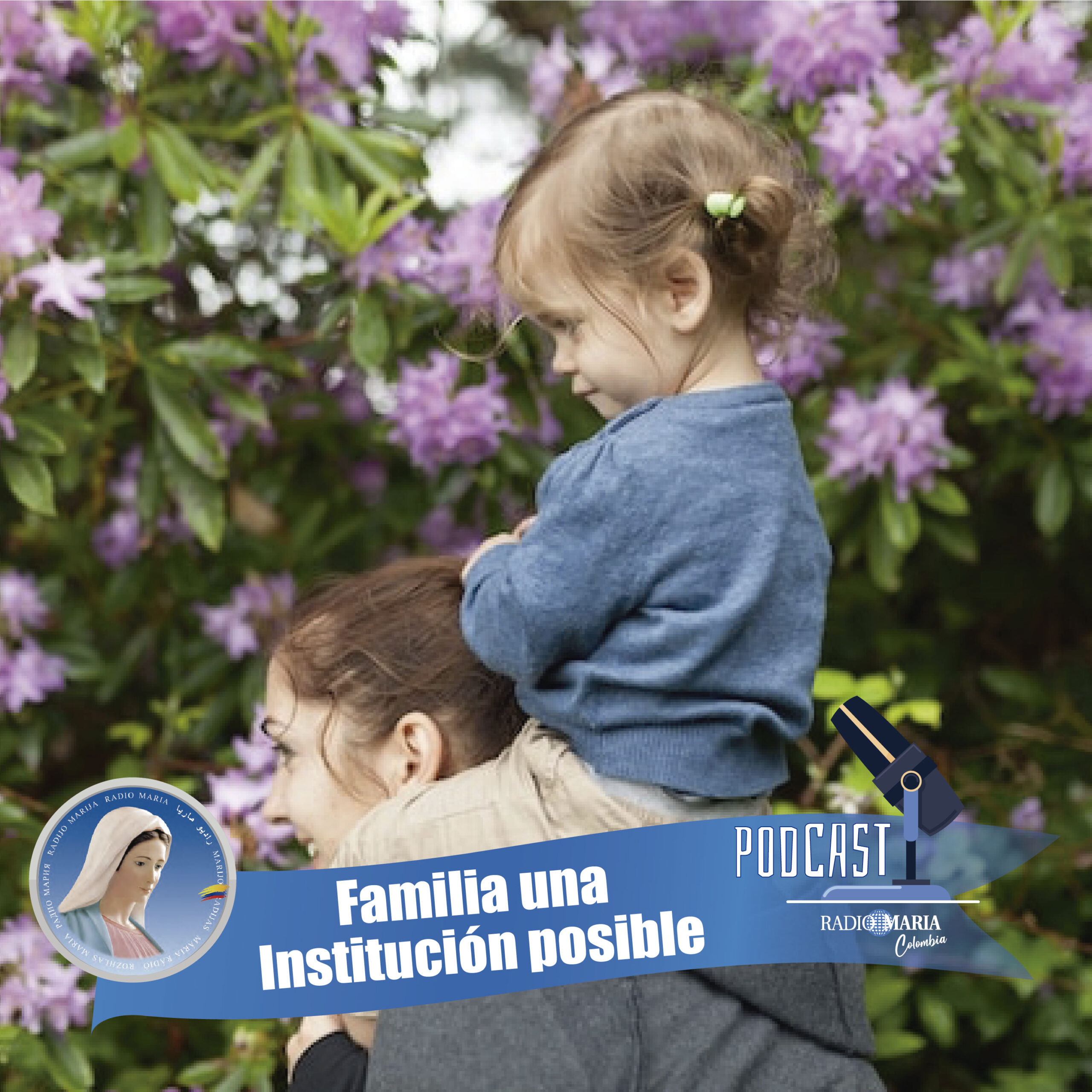 Familia institución posible