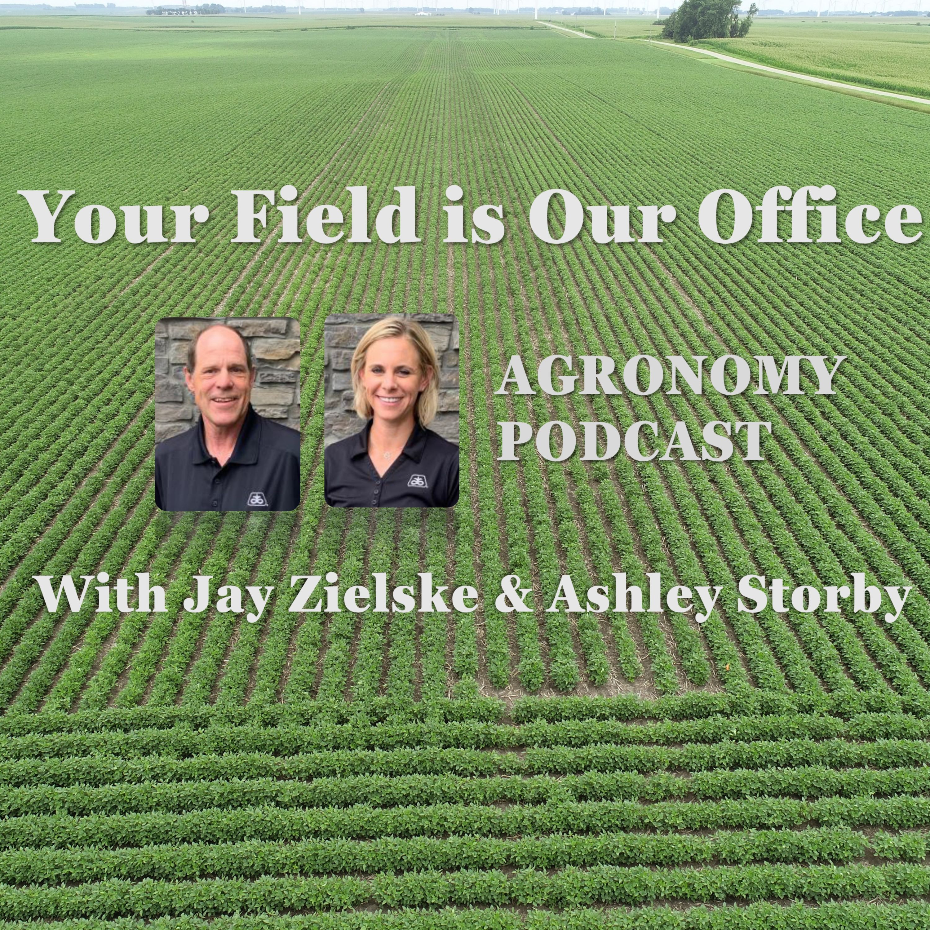 Our Top 10 Agronomic Observations of 2022- Part One