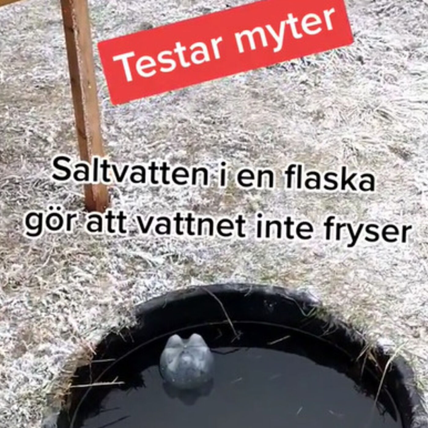 ⁣Vatten som fryser, kostnad att köra samt godtycklighet