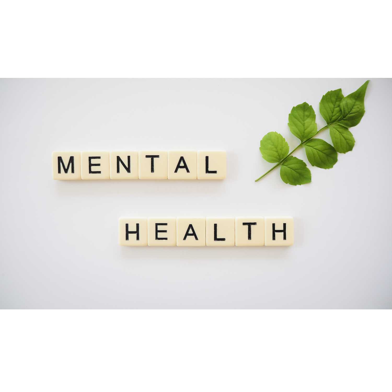 Mental health red flags