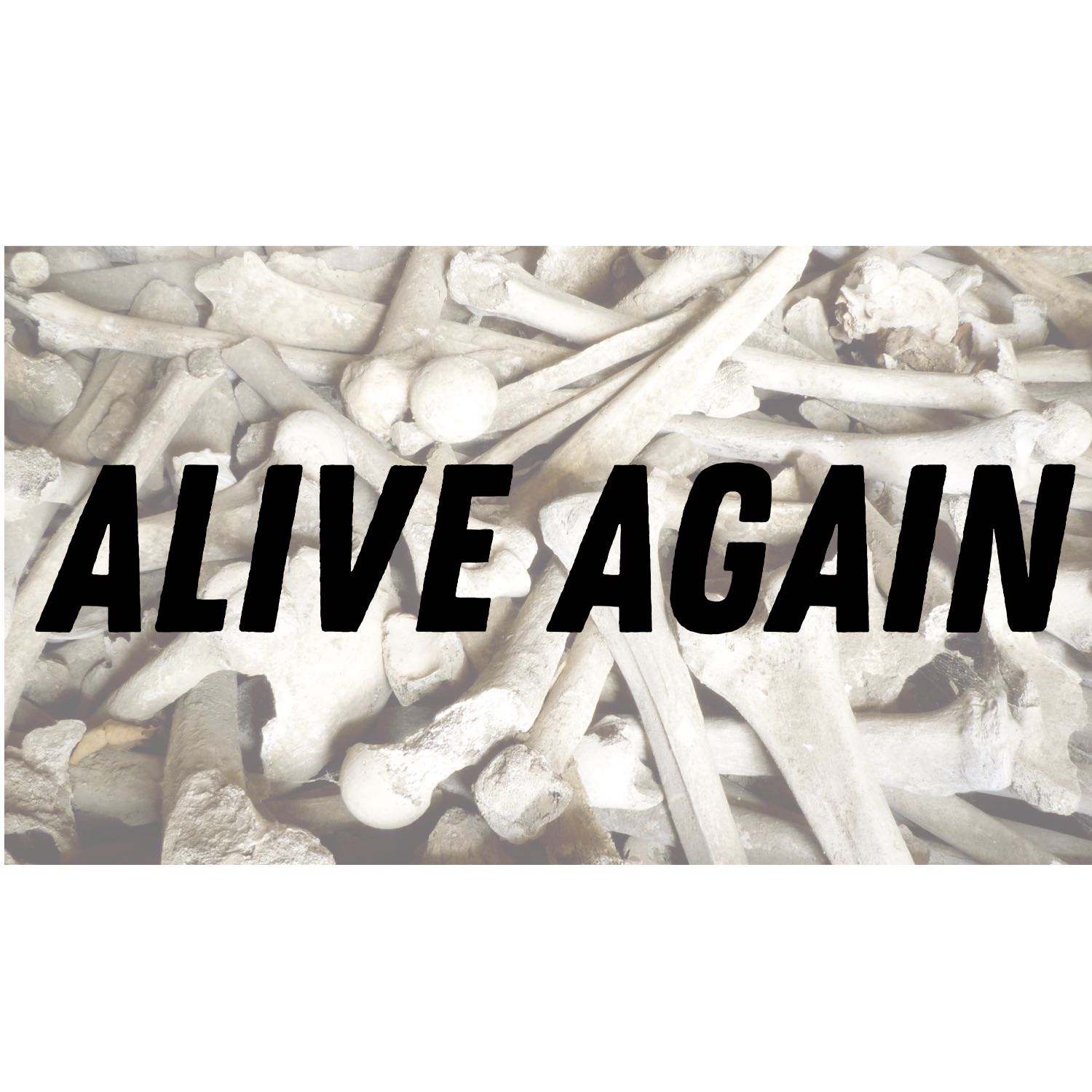 Alive Again - Sunday October 30, 2022