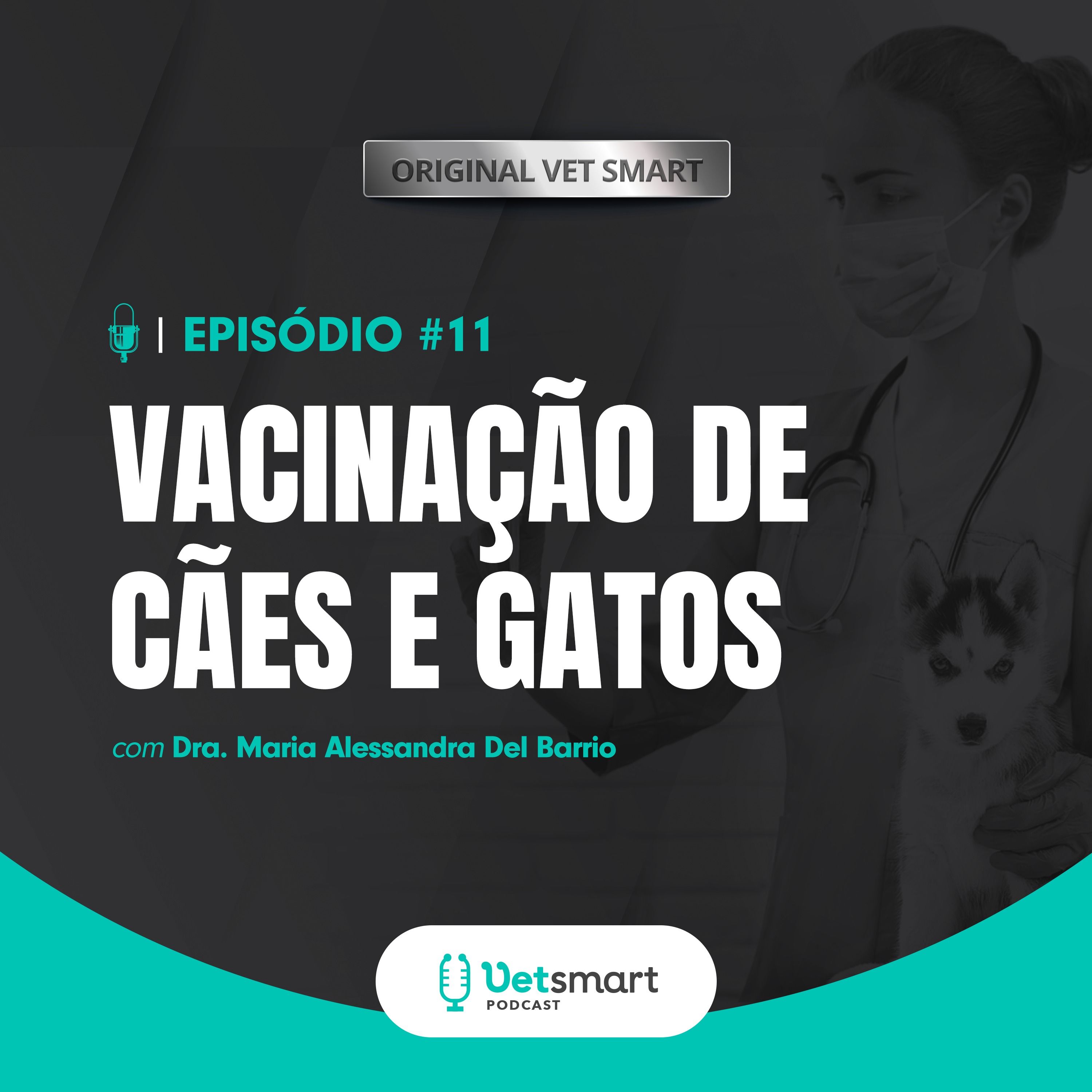 Vacinação de cães e gatos