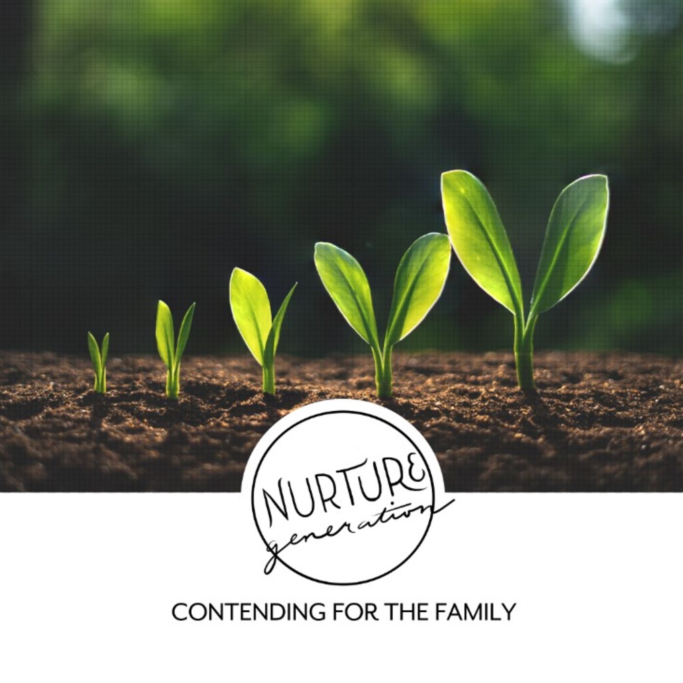 Nurture Generation, Ep. 001 - Creating a Vision: Is It Scripture?