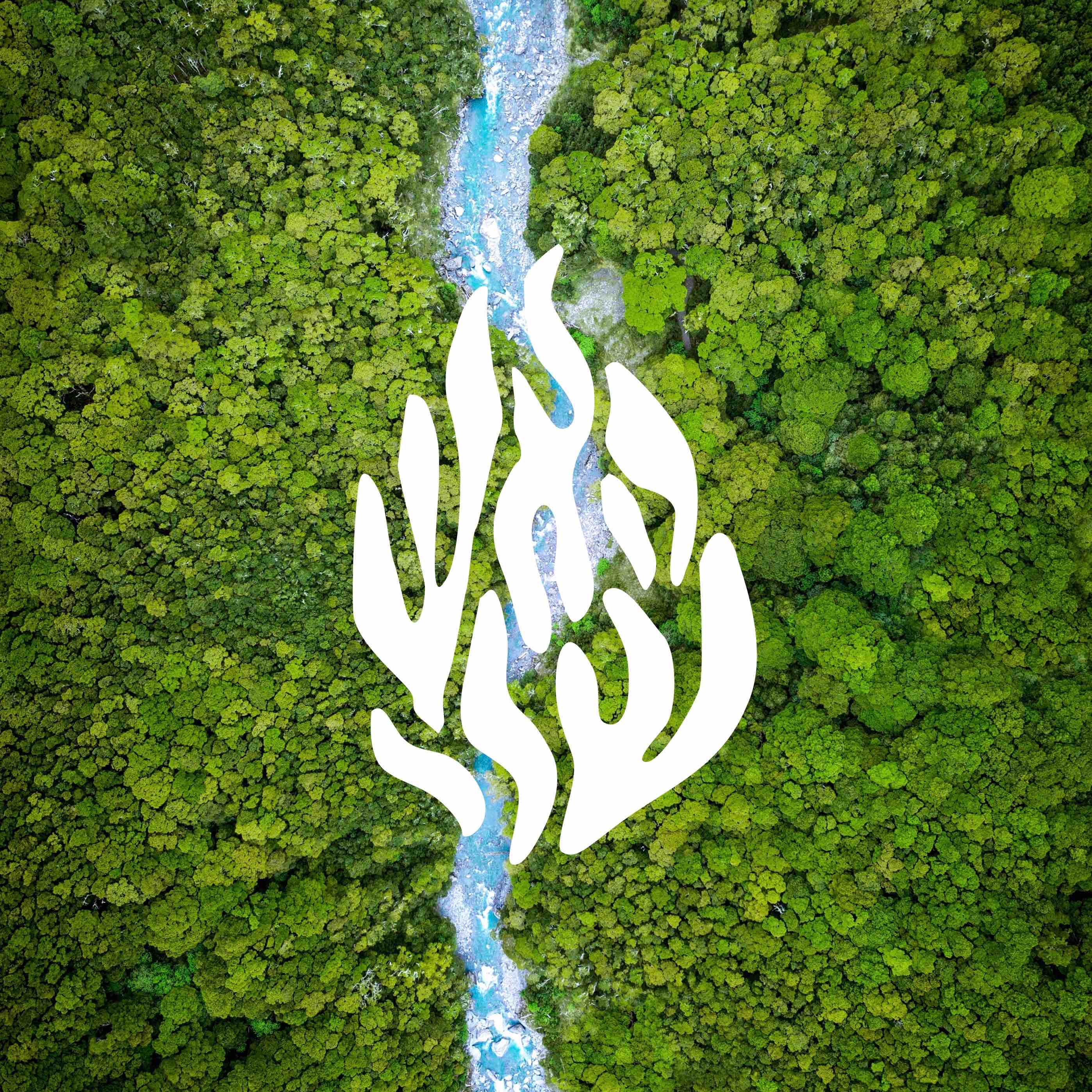 Torah 153: Shining Faces; Torah 154: Elevating Fallen Fears