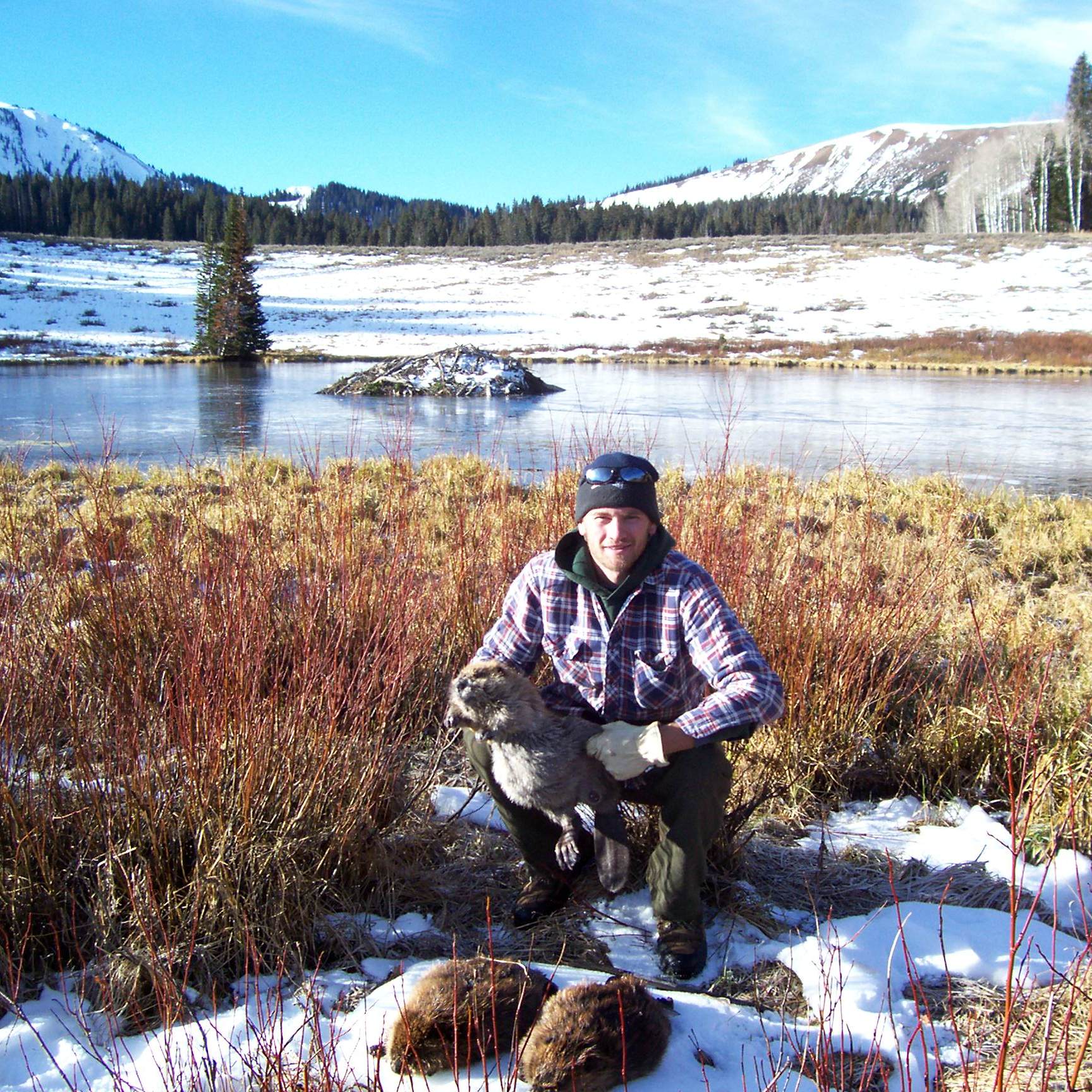 When to Trap, Flexibility and the Aging Trapper: Podcast Episode 229