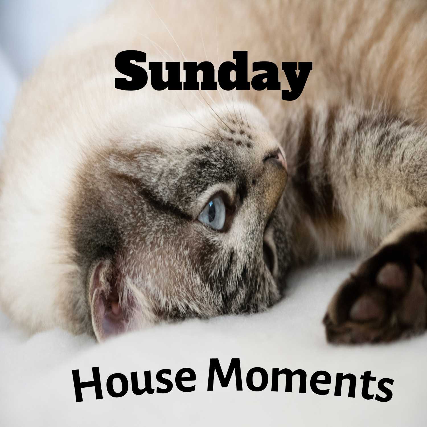 Sunday House Moments (Low Miles)