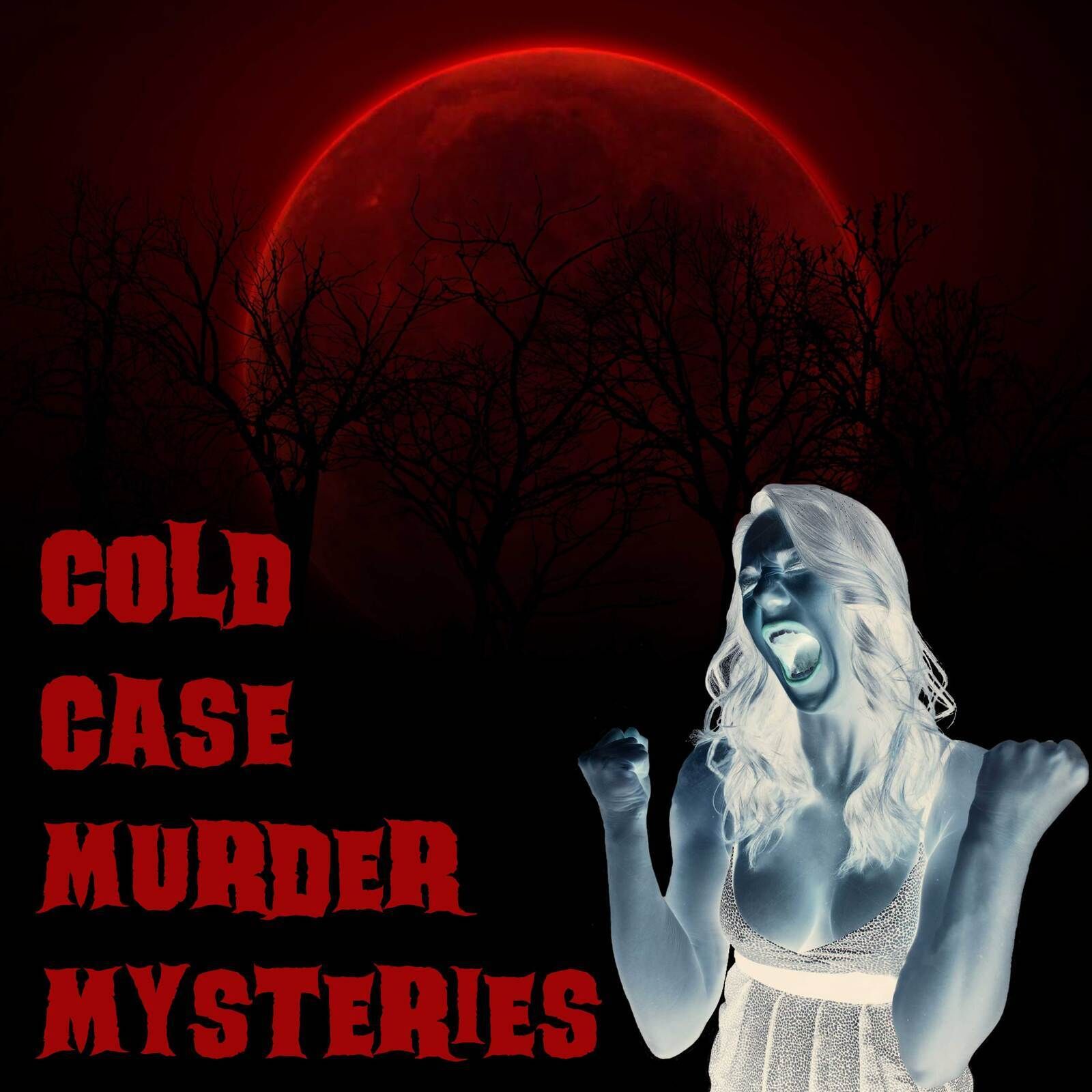 Cold Case Murder Mysteries 