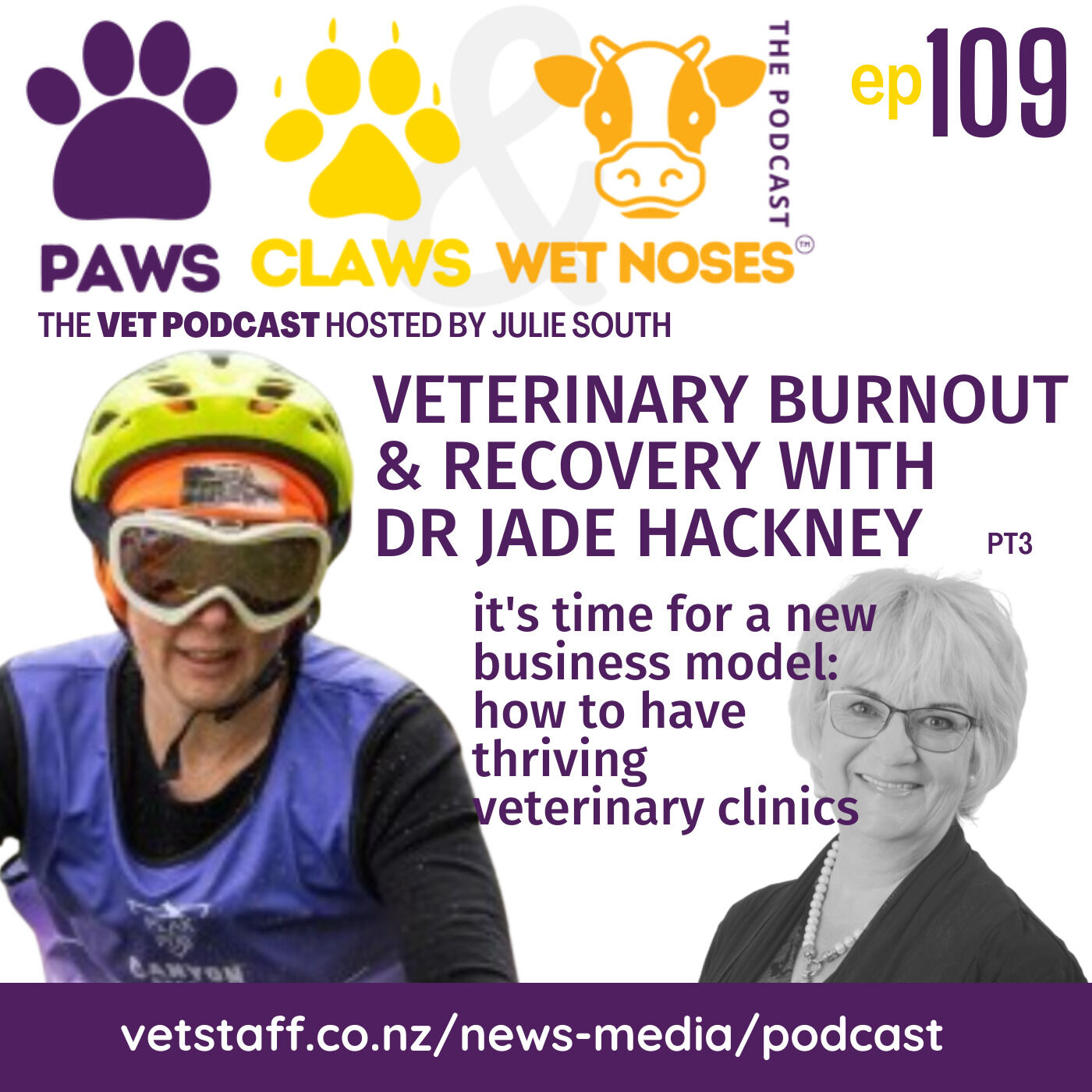 Dr Jade Hackney - it's time for a new business model - thriving clinics with part timers - pt 3 - ep 109