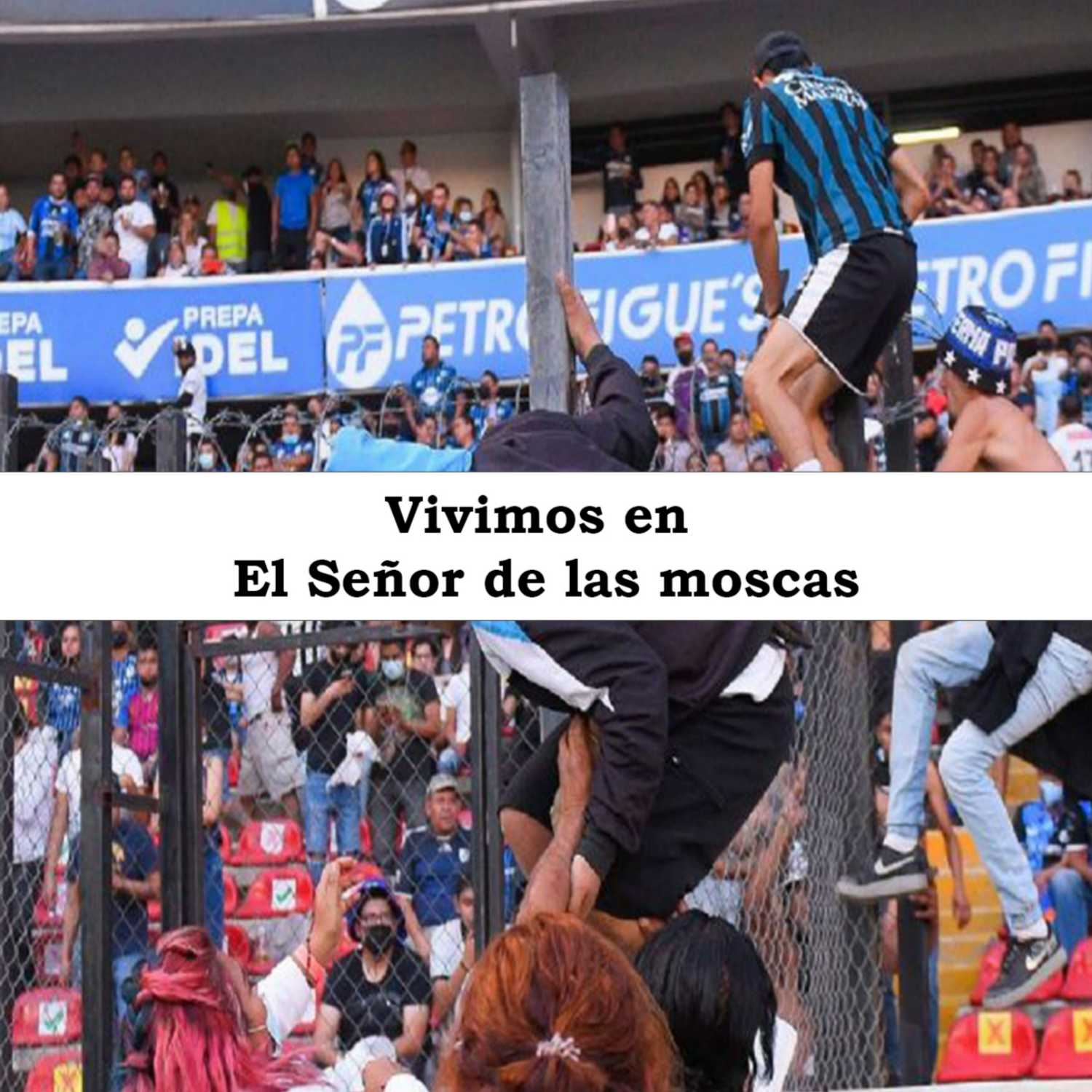 ⁣Vivimos en El Señor de las moscas