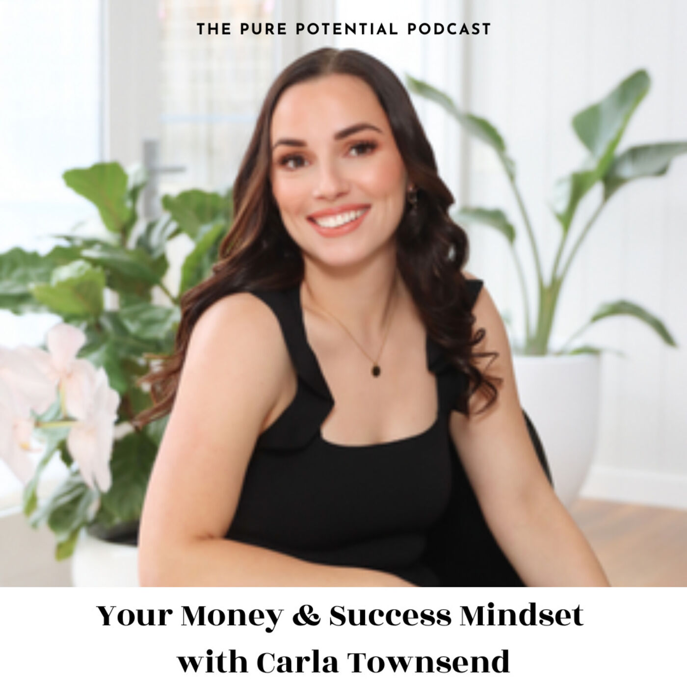 Your Money & Success Mindset  with Carla Townsend