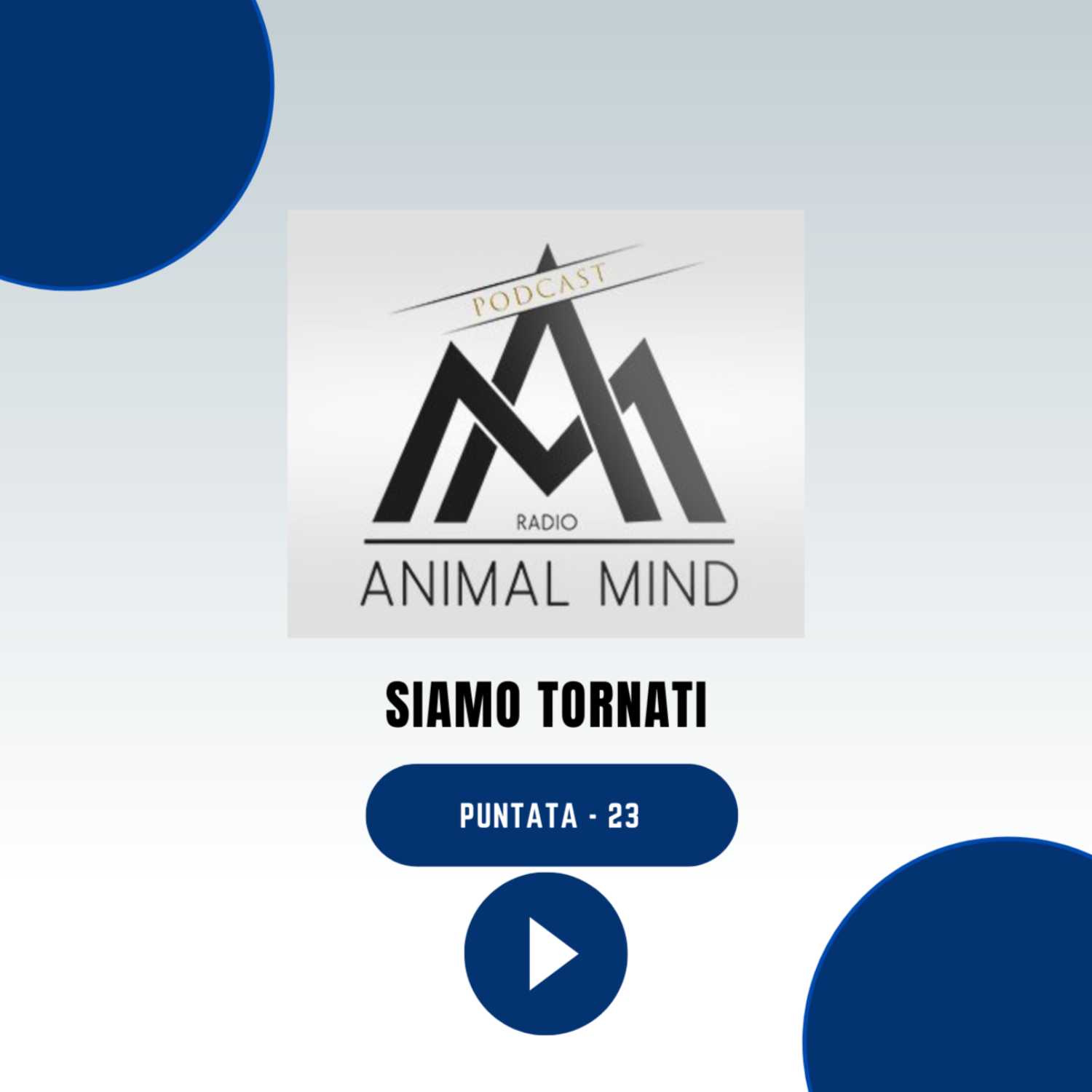 Siamo Tornati!!