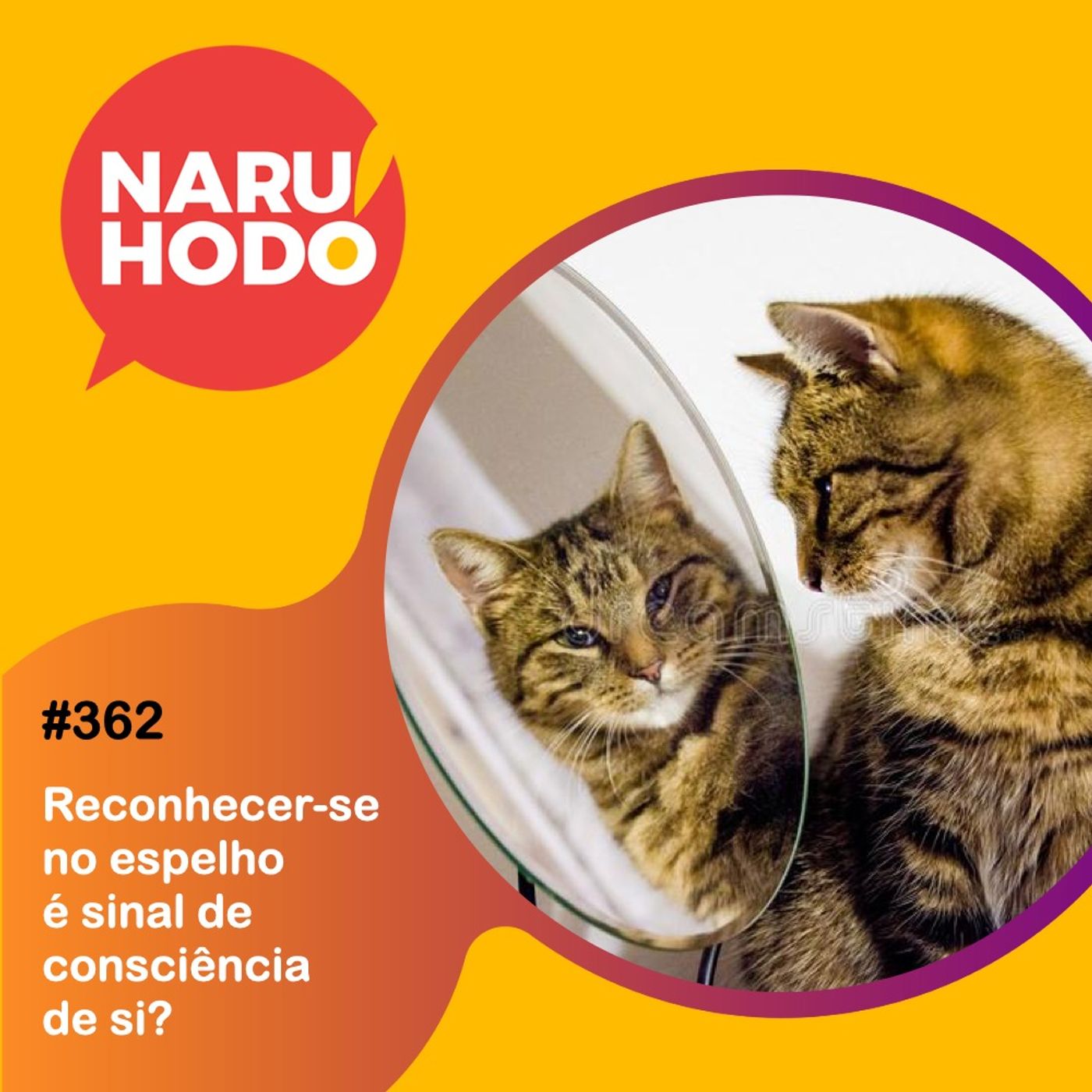 Naruhodo #362 - Reconhecer-se no espelho é sinal de consciência de si?