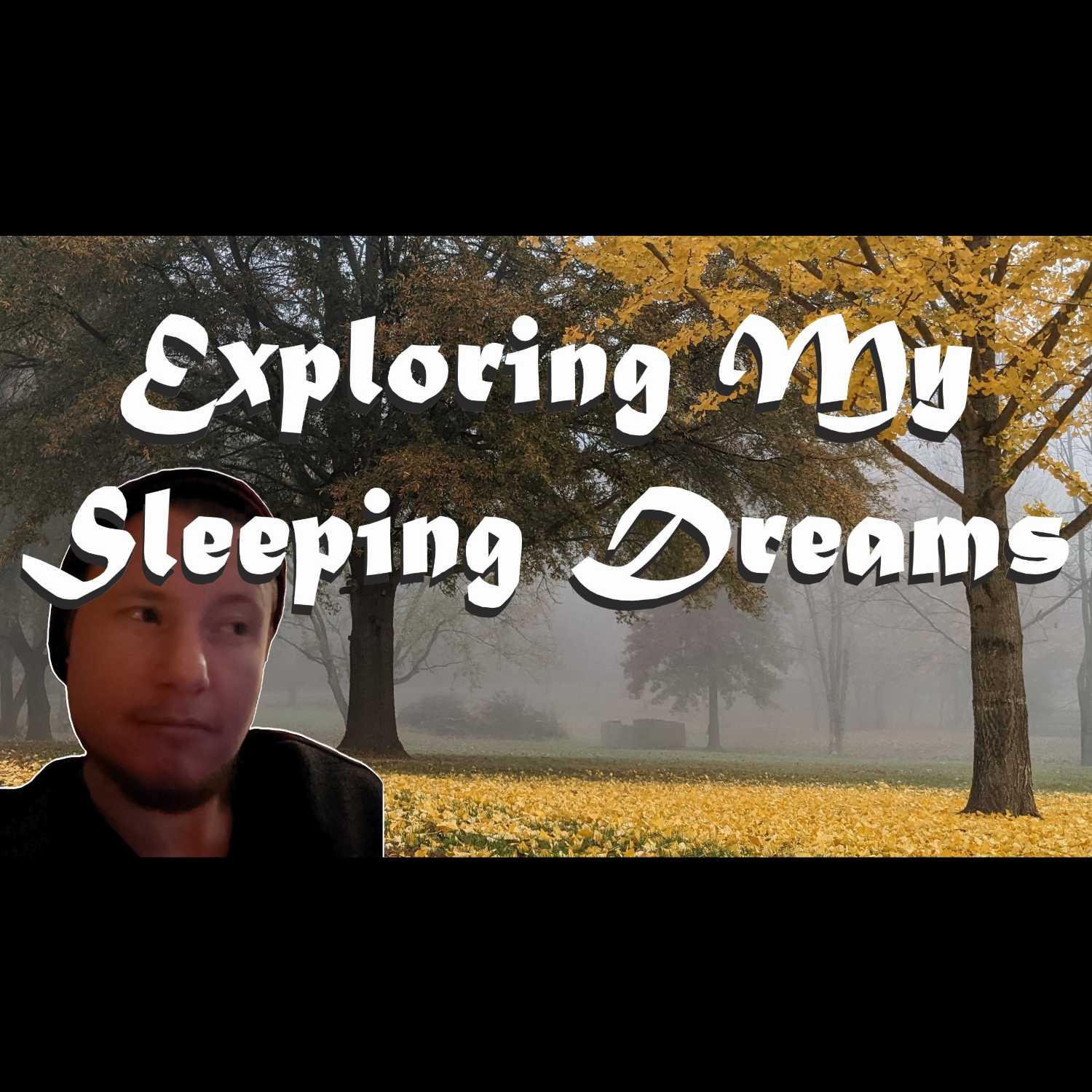 Day 140 - Exploring My Sleeping Dreams