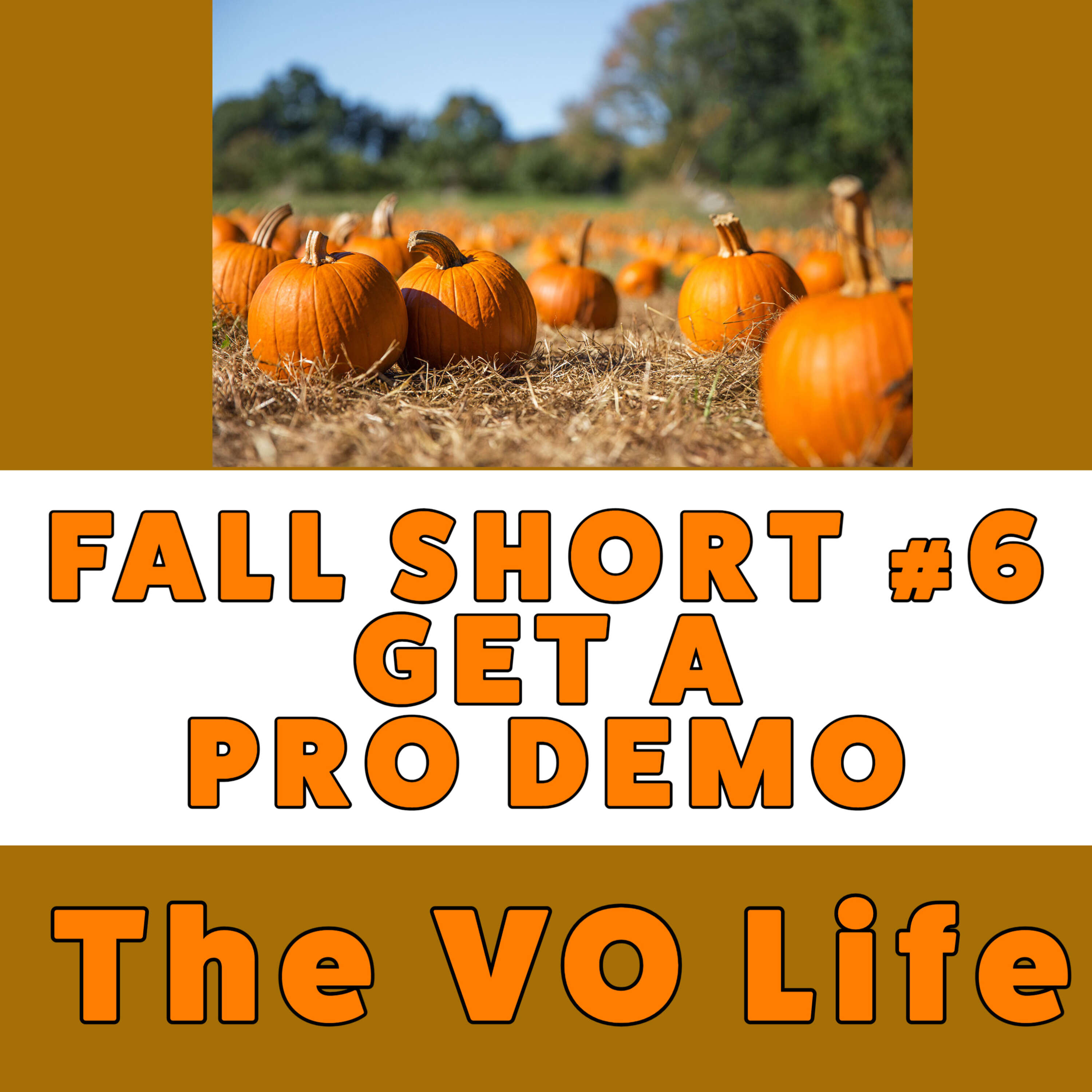 The VO Life Ep 80 - Shorts #6 Pro Demos