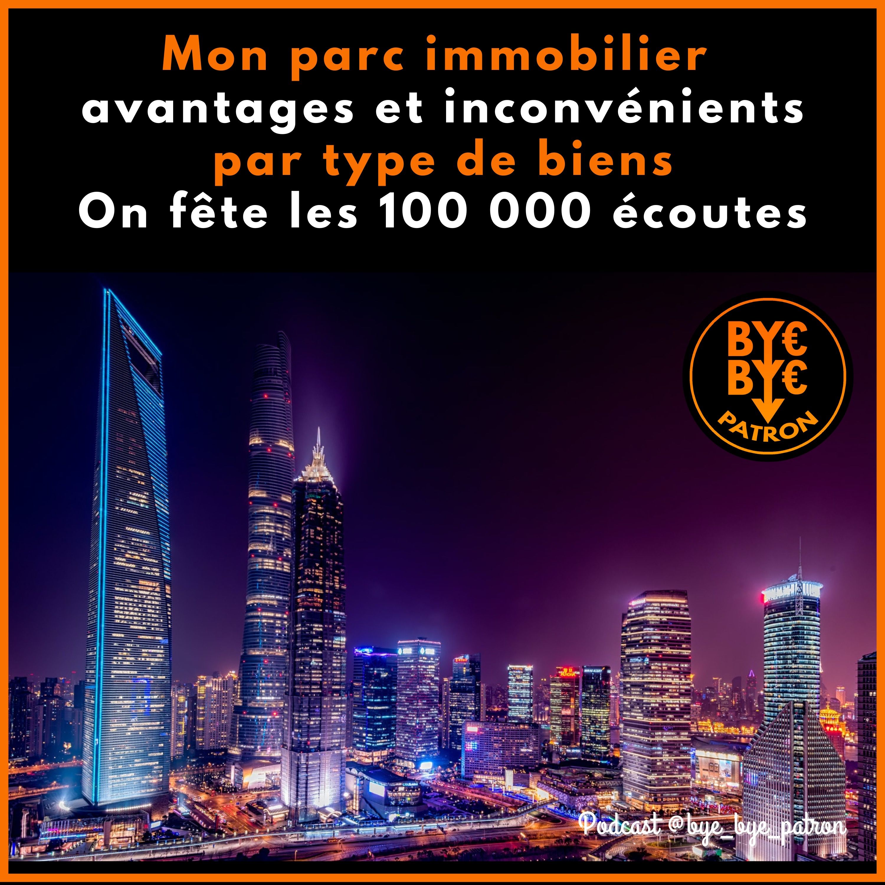 Mon parc immobilier  avantages et inconvénients  par type de biens - On fête les 100k écoutes !