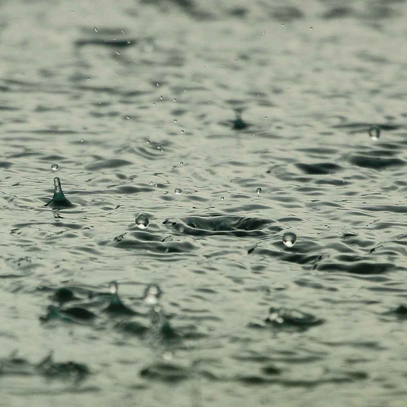 Rain Sounds for Sleeping - Sound of heavy Rainstorm In The Misty Forest At Forest