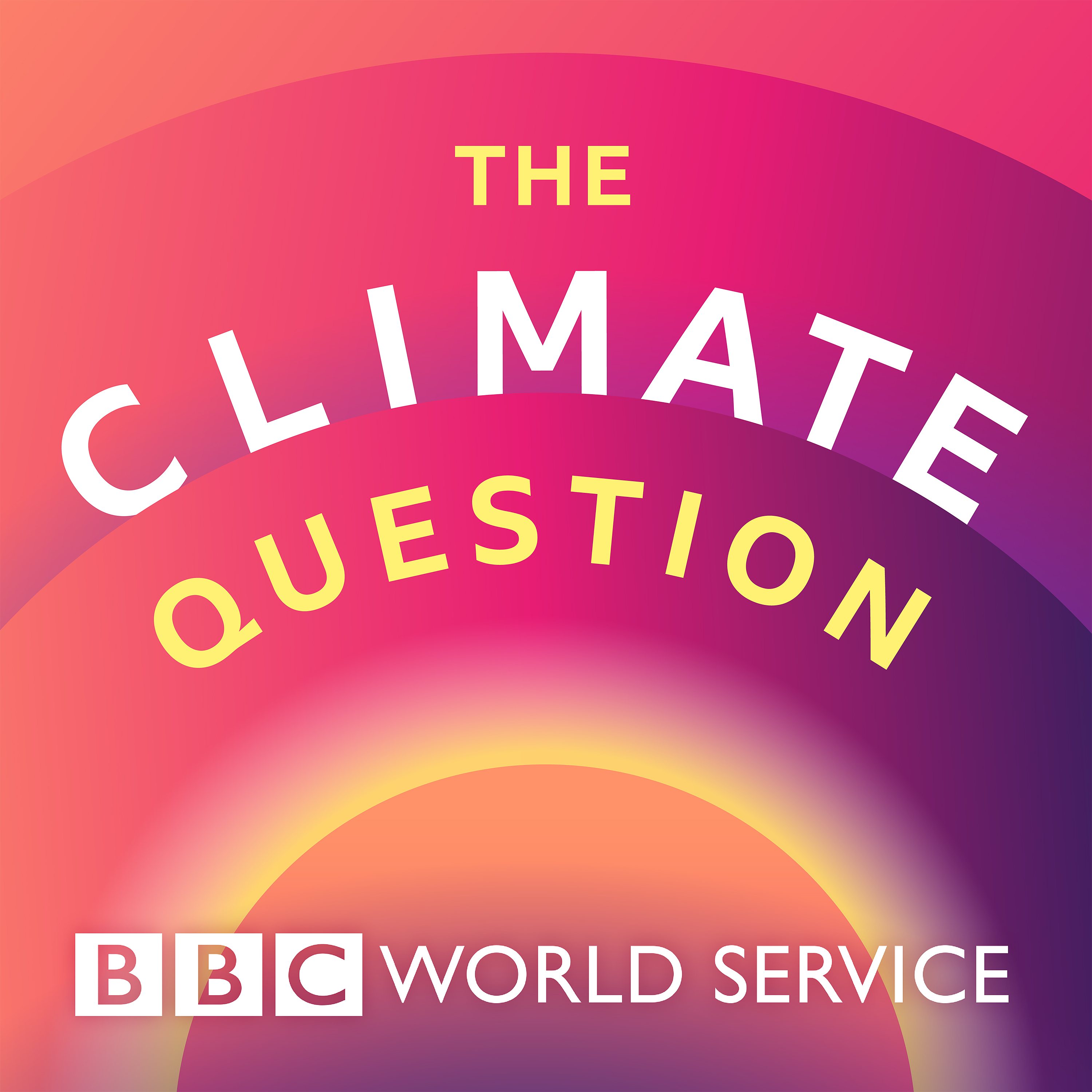 What role is overpopulation playing in the climate crisis?