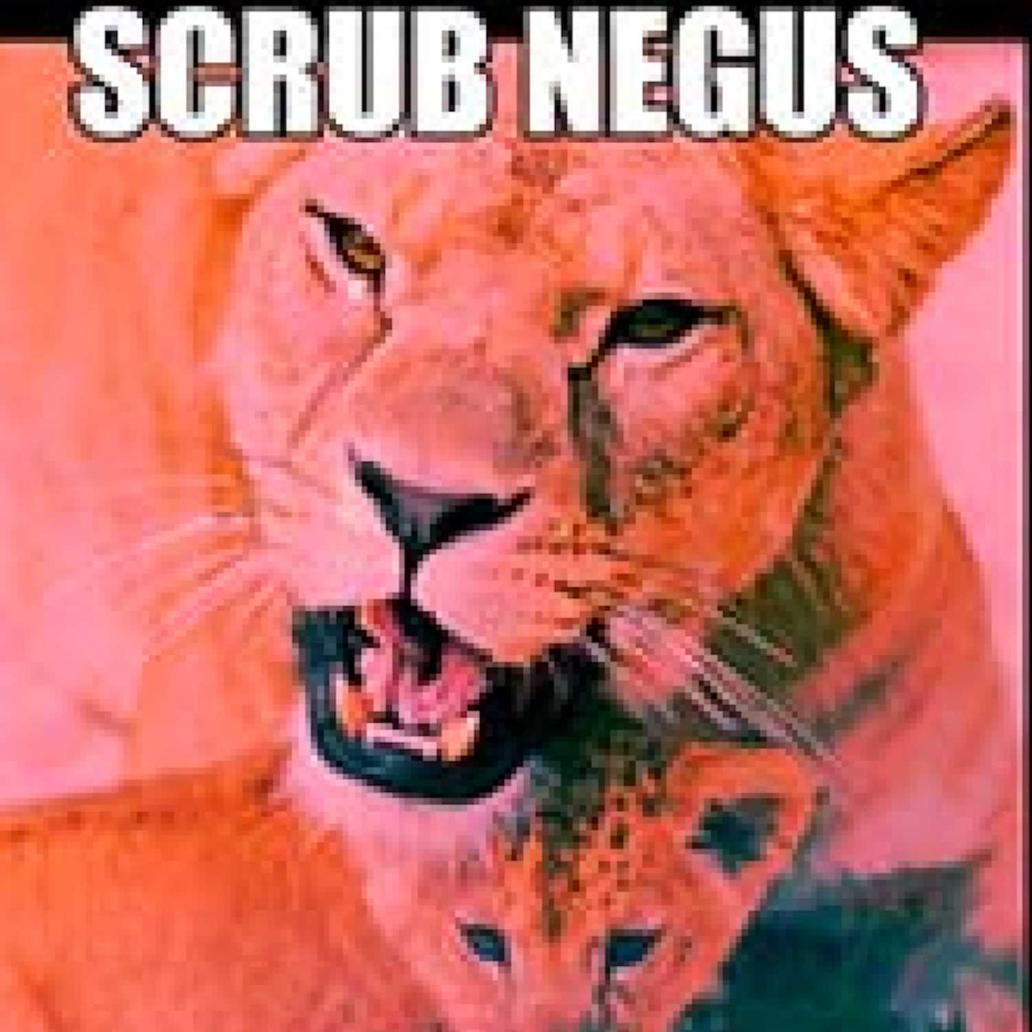 SCRUB NEGUS 