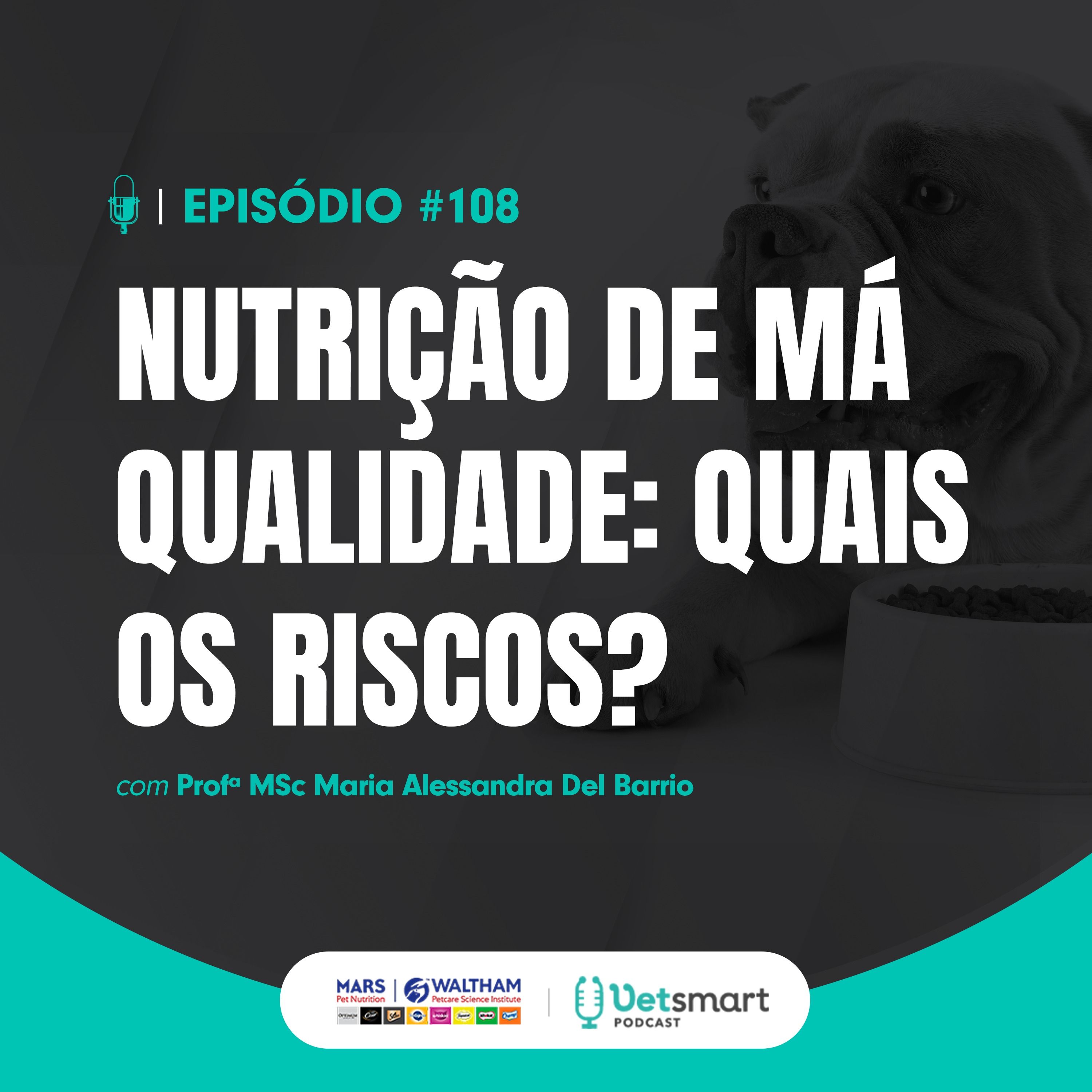 Nutrição de má qualidade: quais os riscos?