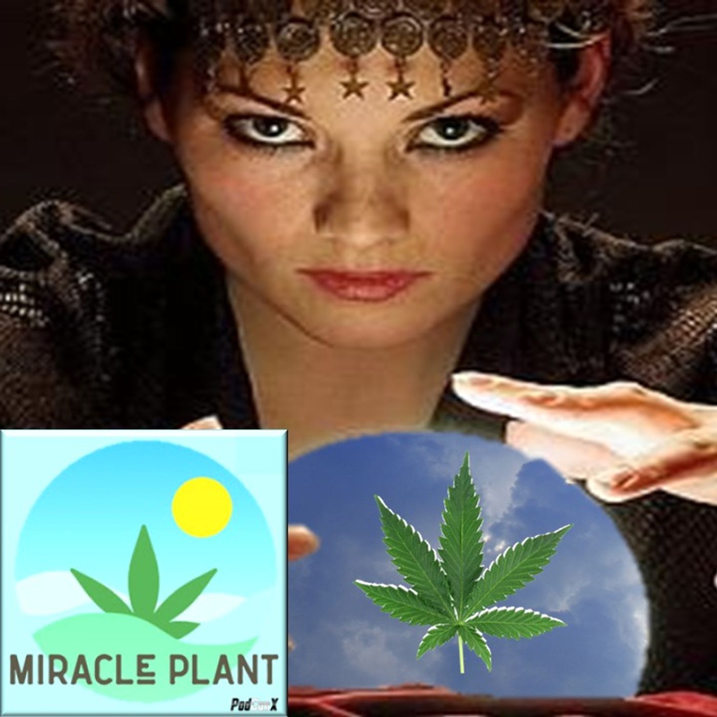 Bold Predictions For 2023 - The Year Of The Miracle Plant