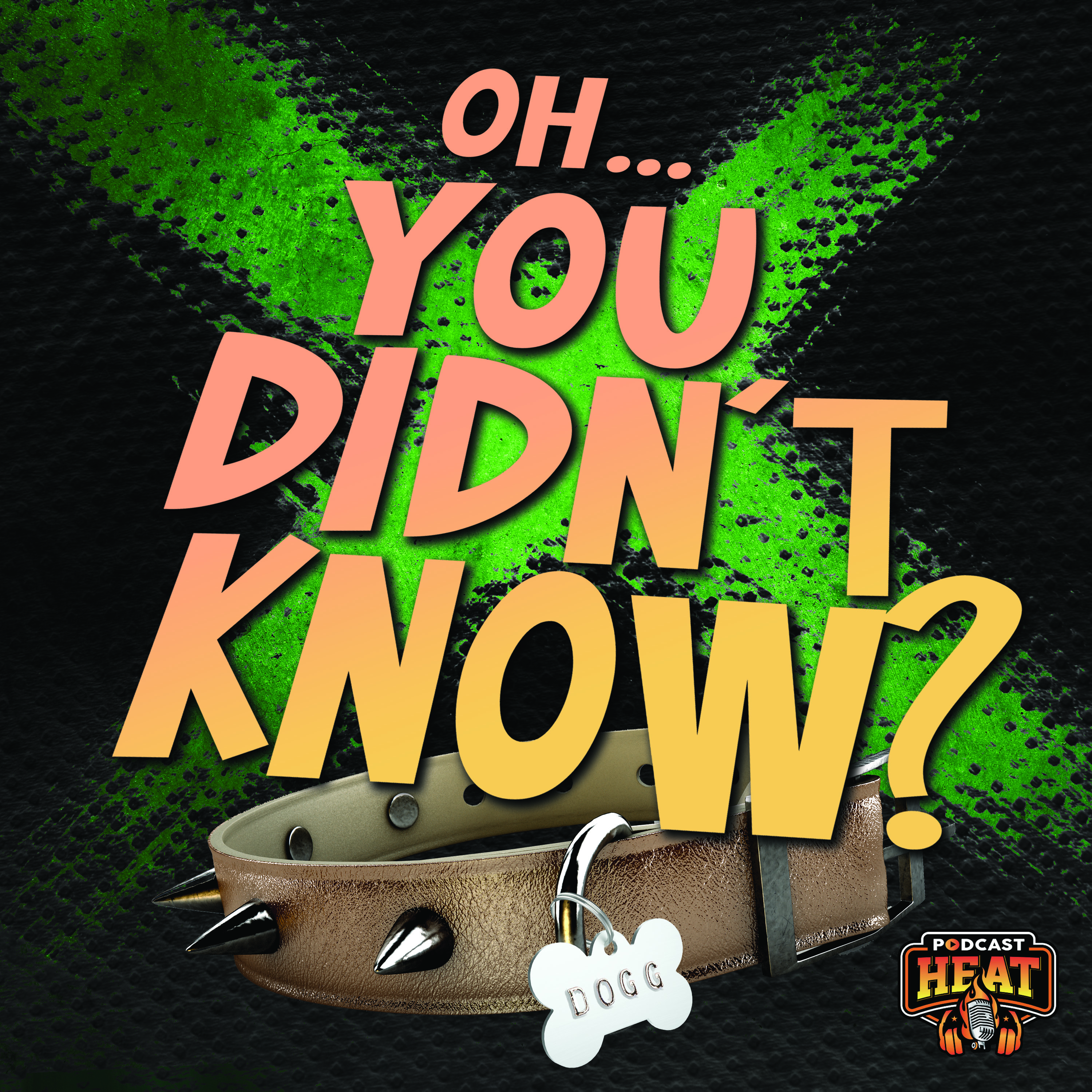 Oh...You Didn't Know with Road Dogg Brian James and Casio Kid 