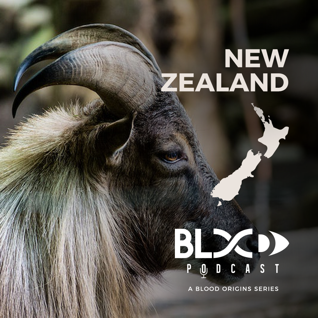 Go Hunt || Learn About New Zealand With Rolling Bones Outdoors