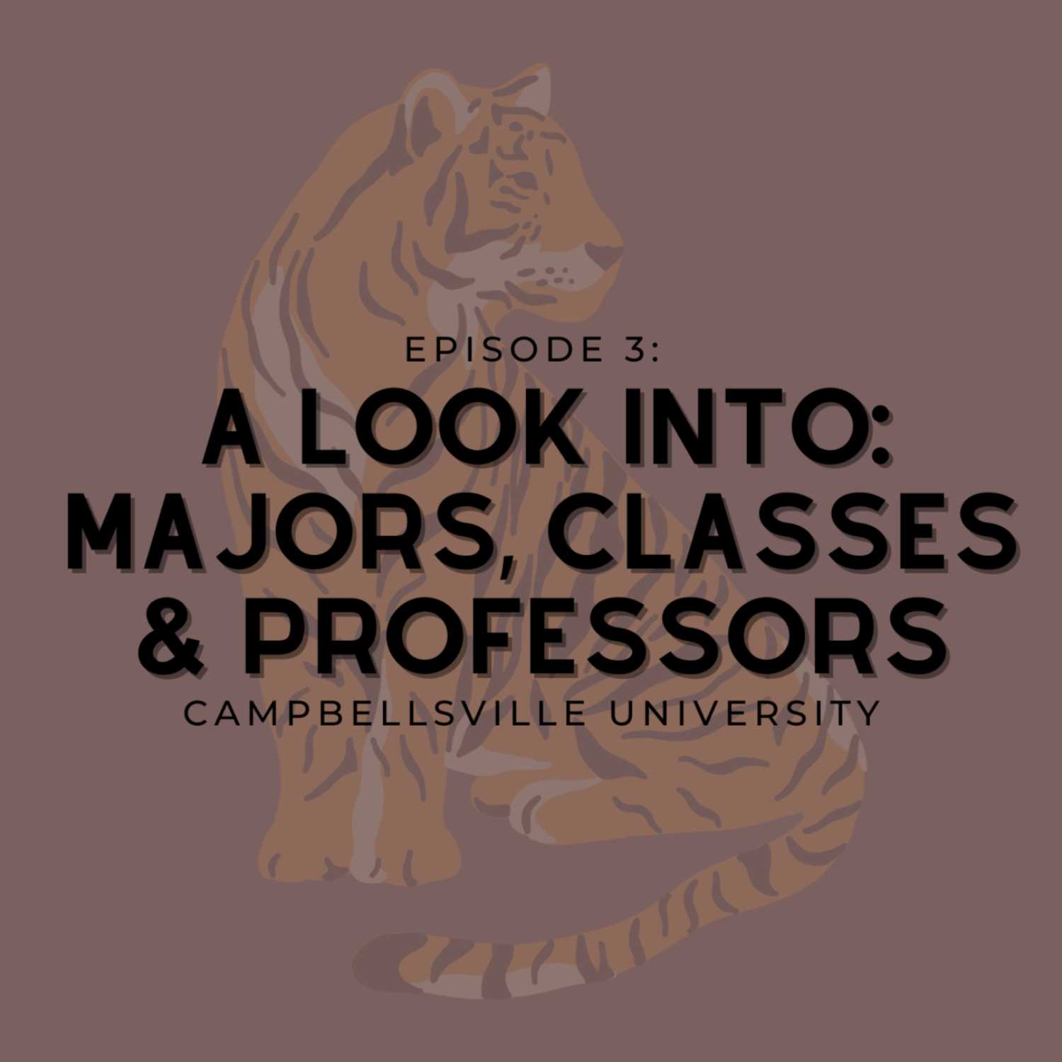 Episode 3: A Look Into: Majors, Classes & Professors