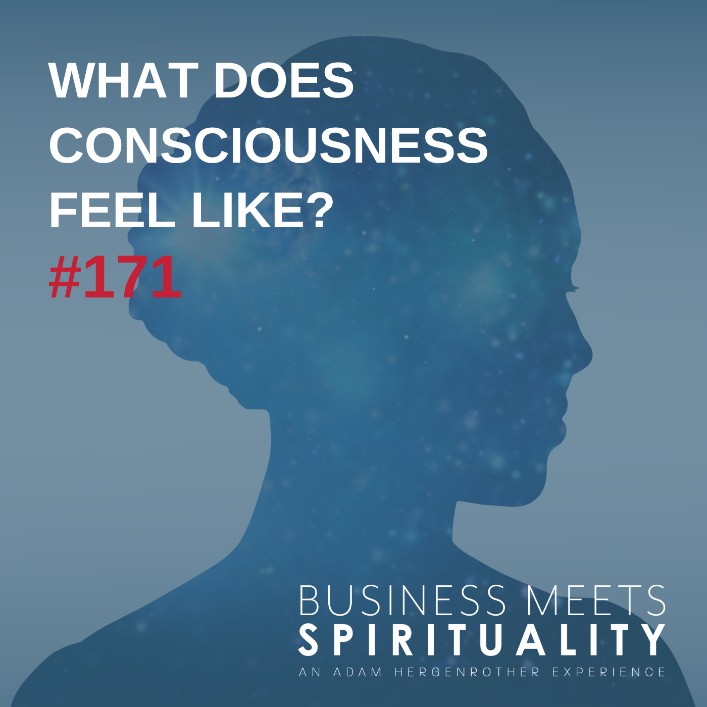 What Does Consciousness Feel Like?