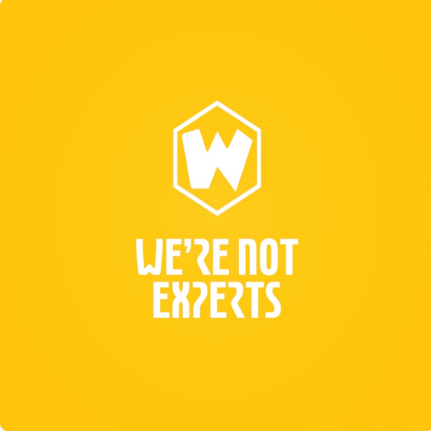 Validation-We're Not Experts Podcast-EP 19