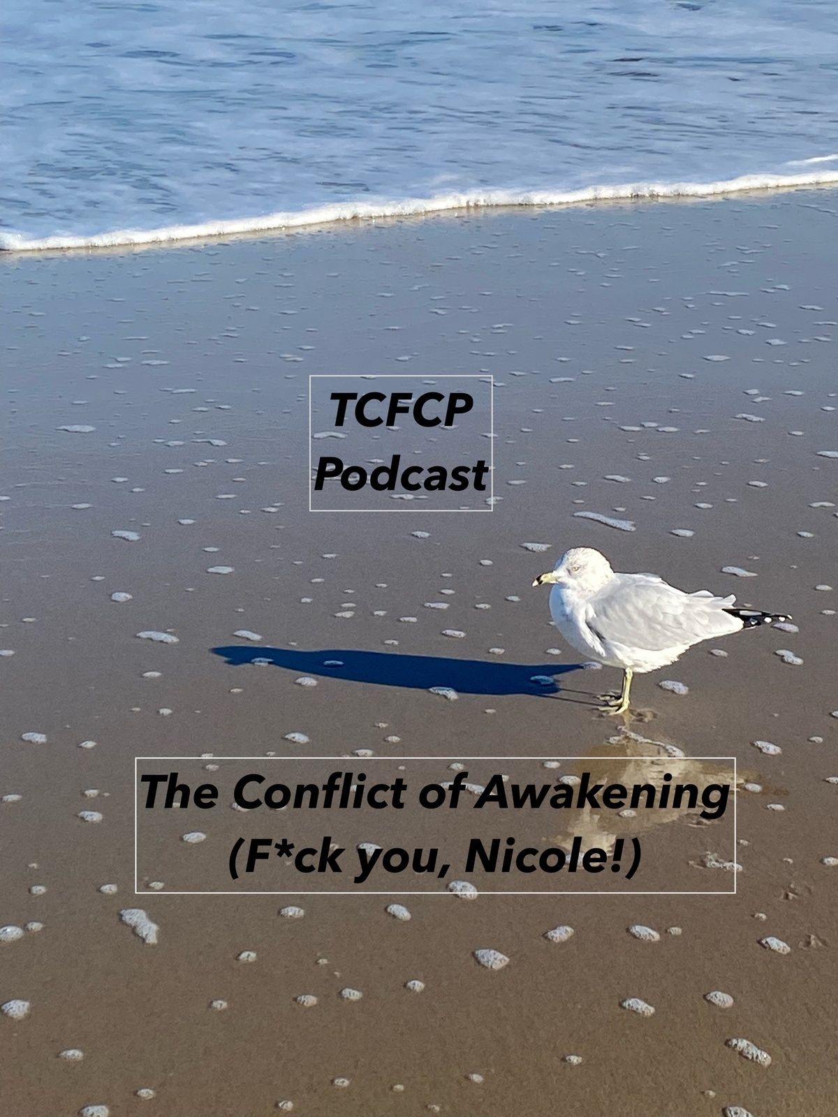 The Conflict, Fear, and Confusion in Awakening (F*ck You, Nicole!)