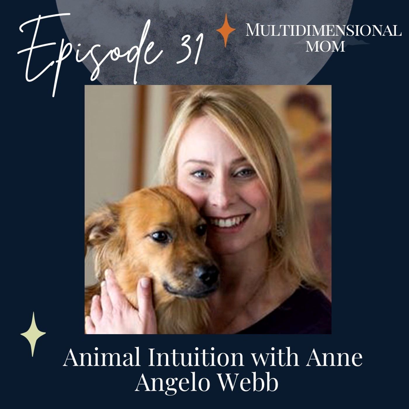 Animal Intuition with Anne Angelo Webb