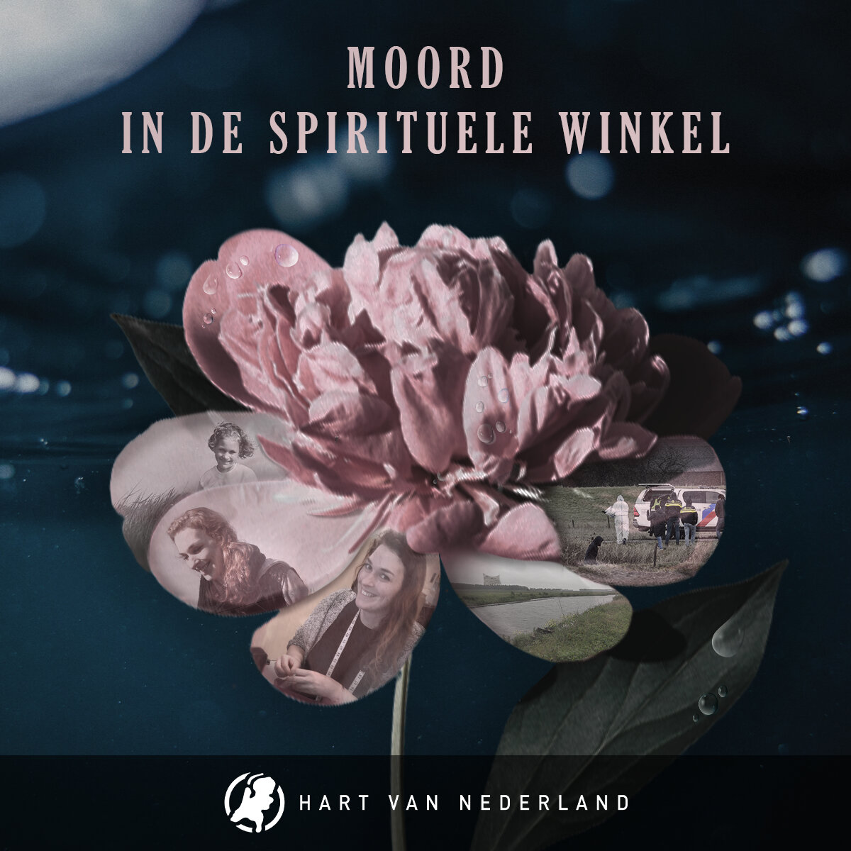 Moord in de Spirituele Winkel 