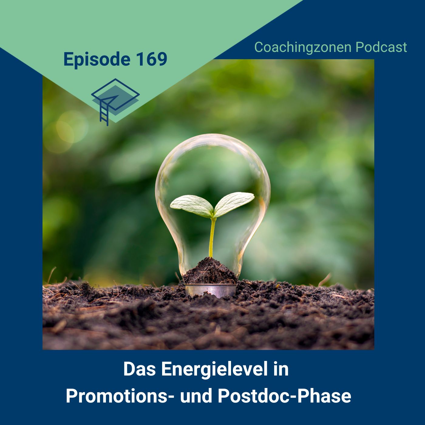 169_Das Energielevel in Promotions- und Postdoc-Phase