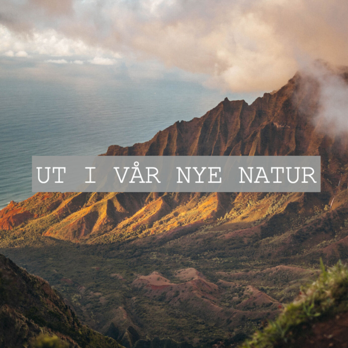 UT I VÅR NYE NATUR // Daniel Kolltveit