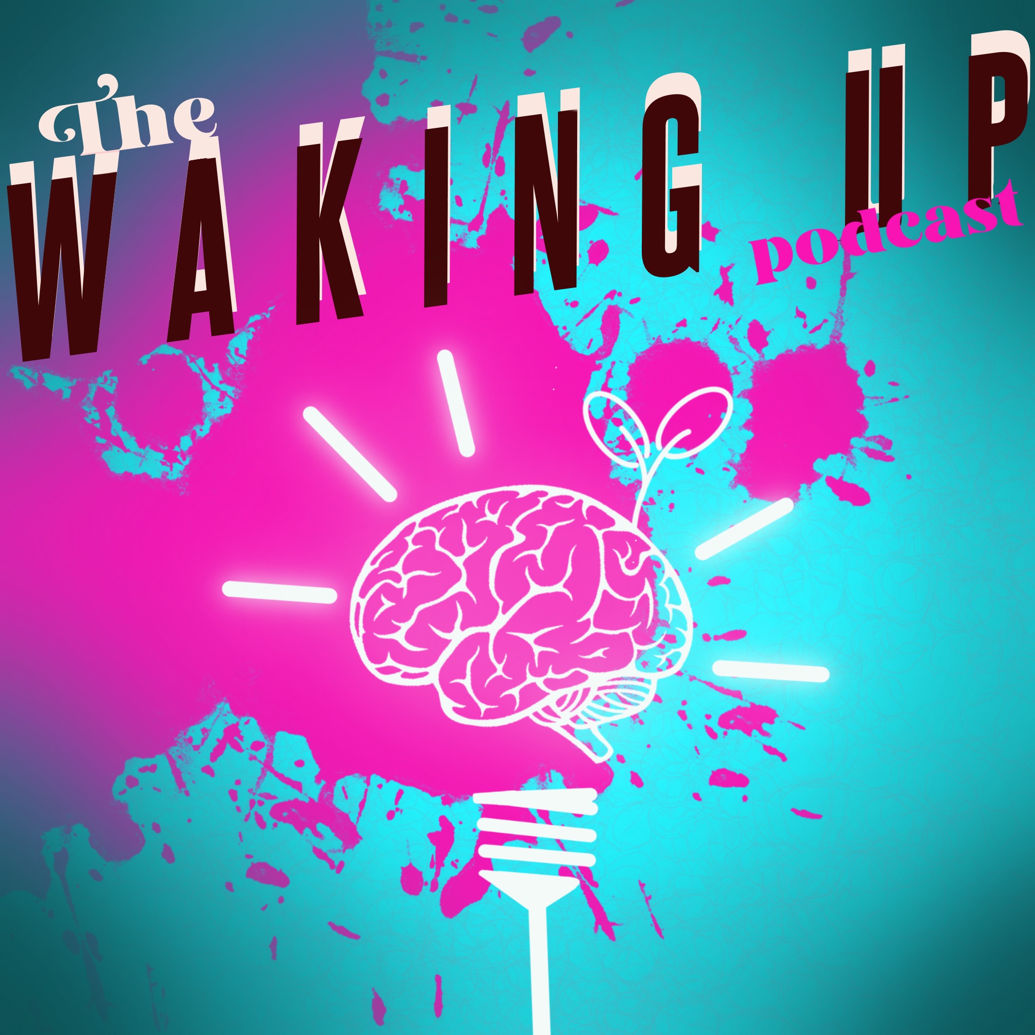 The Waking Up Podcast 