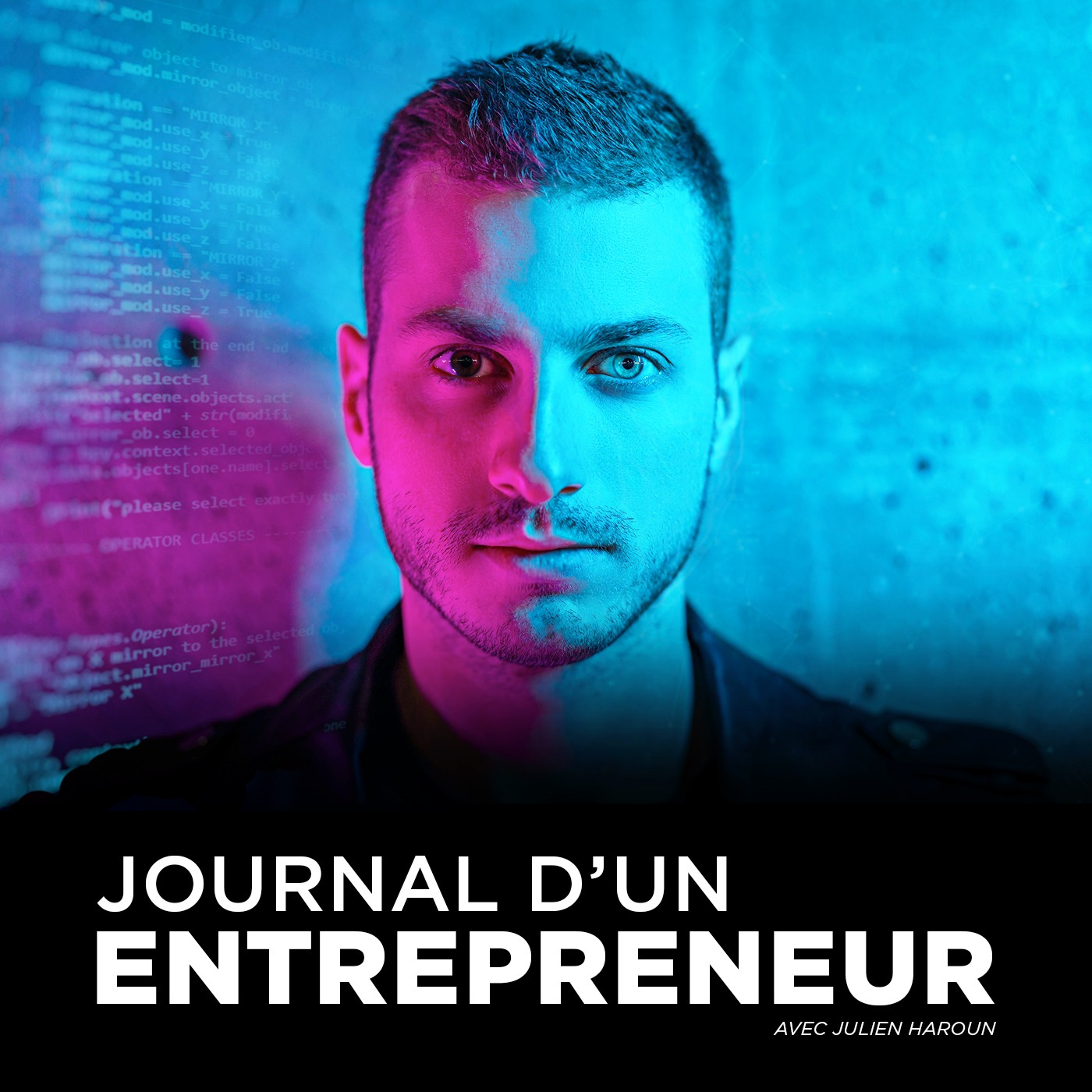 Journal d'un Entrepreneur 