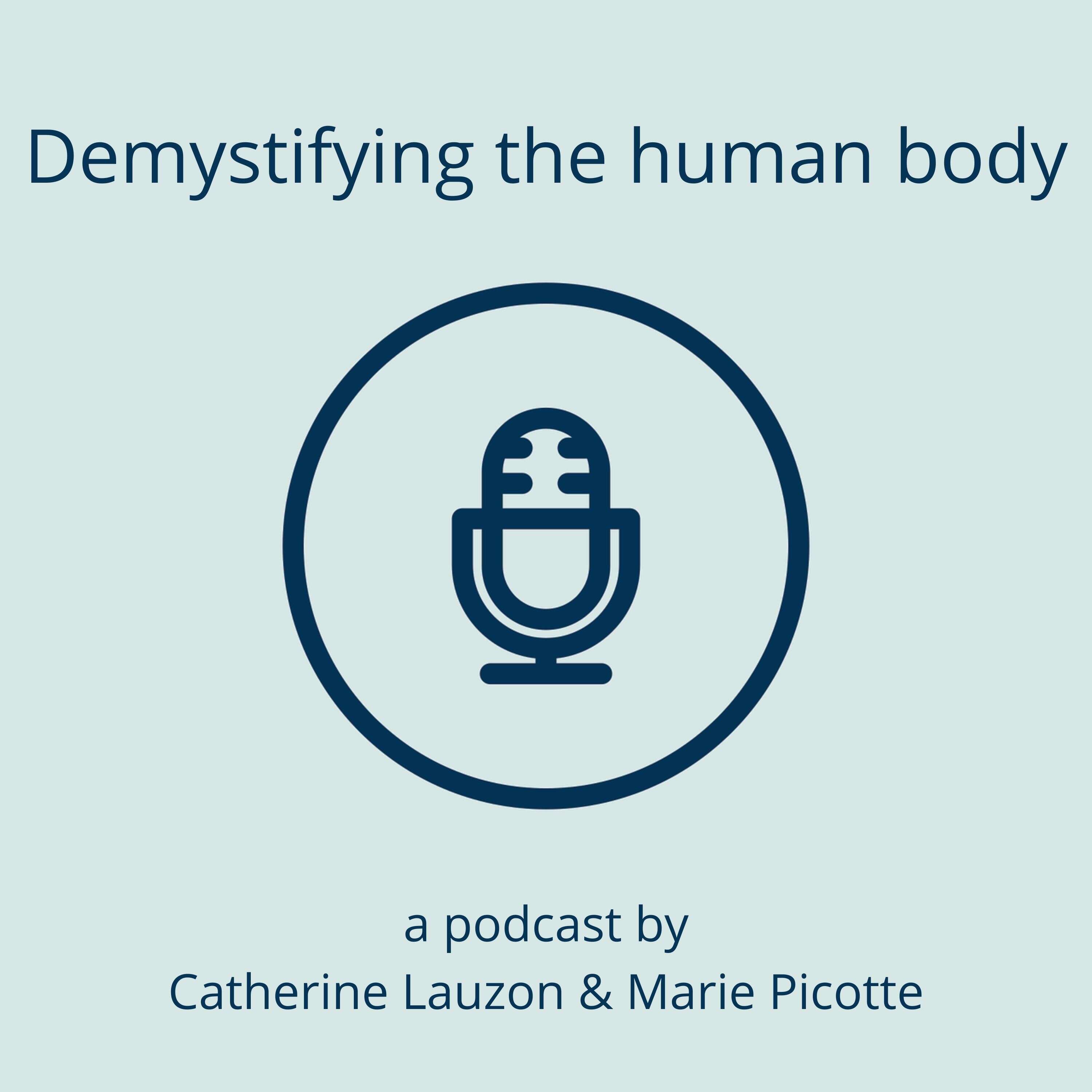 Demystifying the Human Body 