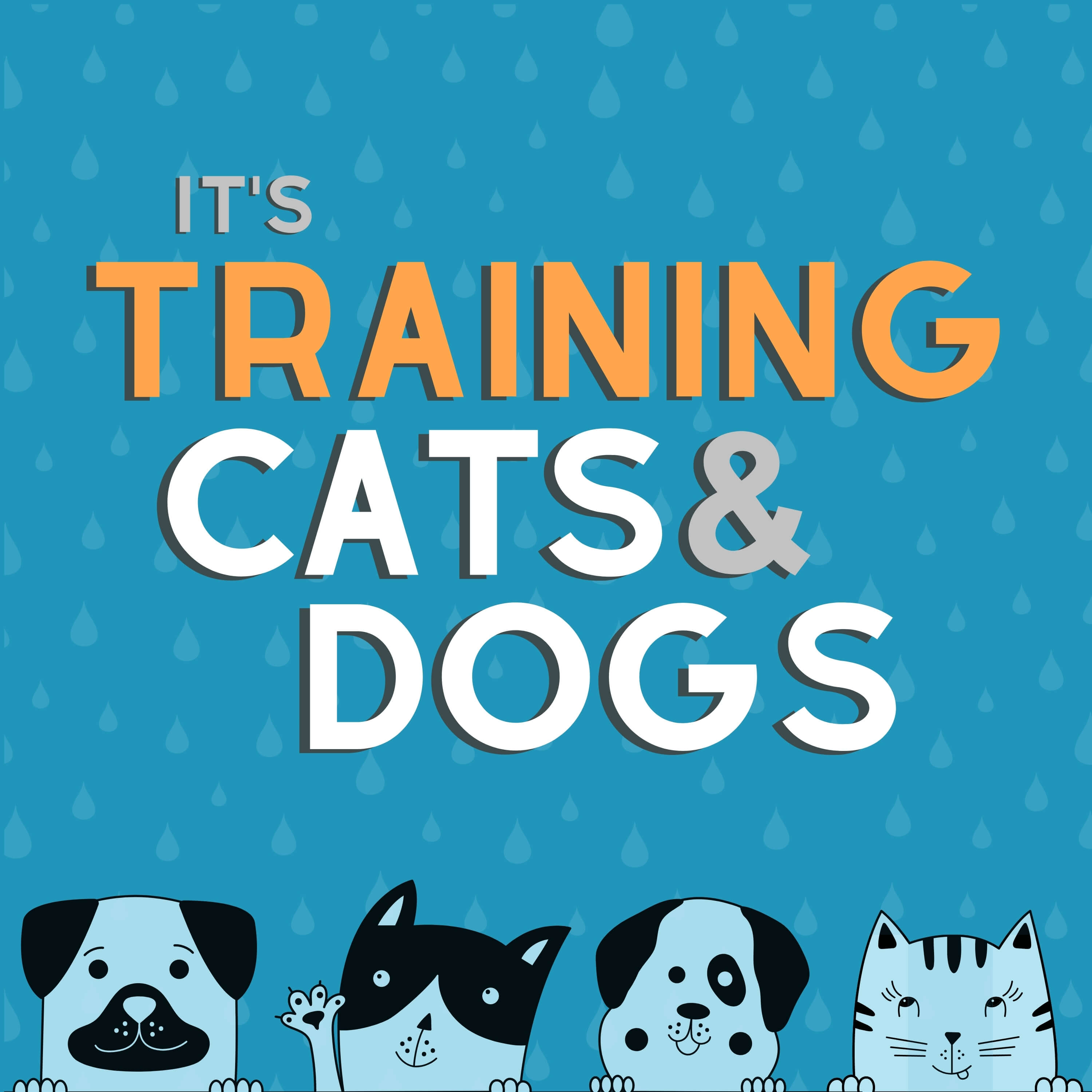 It's Training Cats and Dogs! 