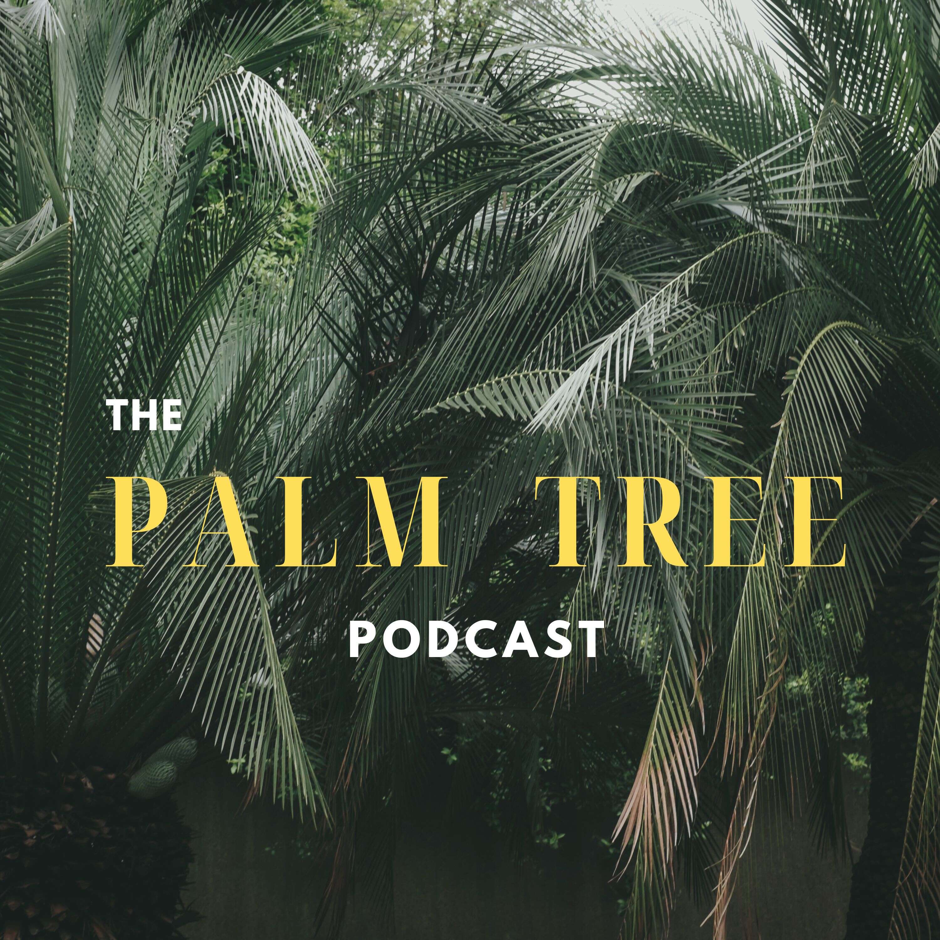 The Palm Tree Podcast 