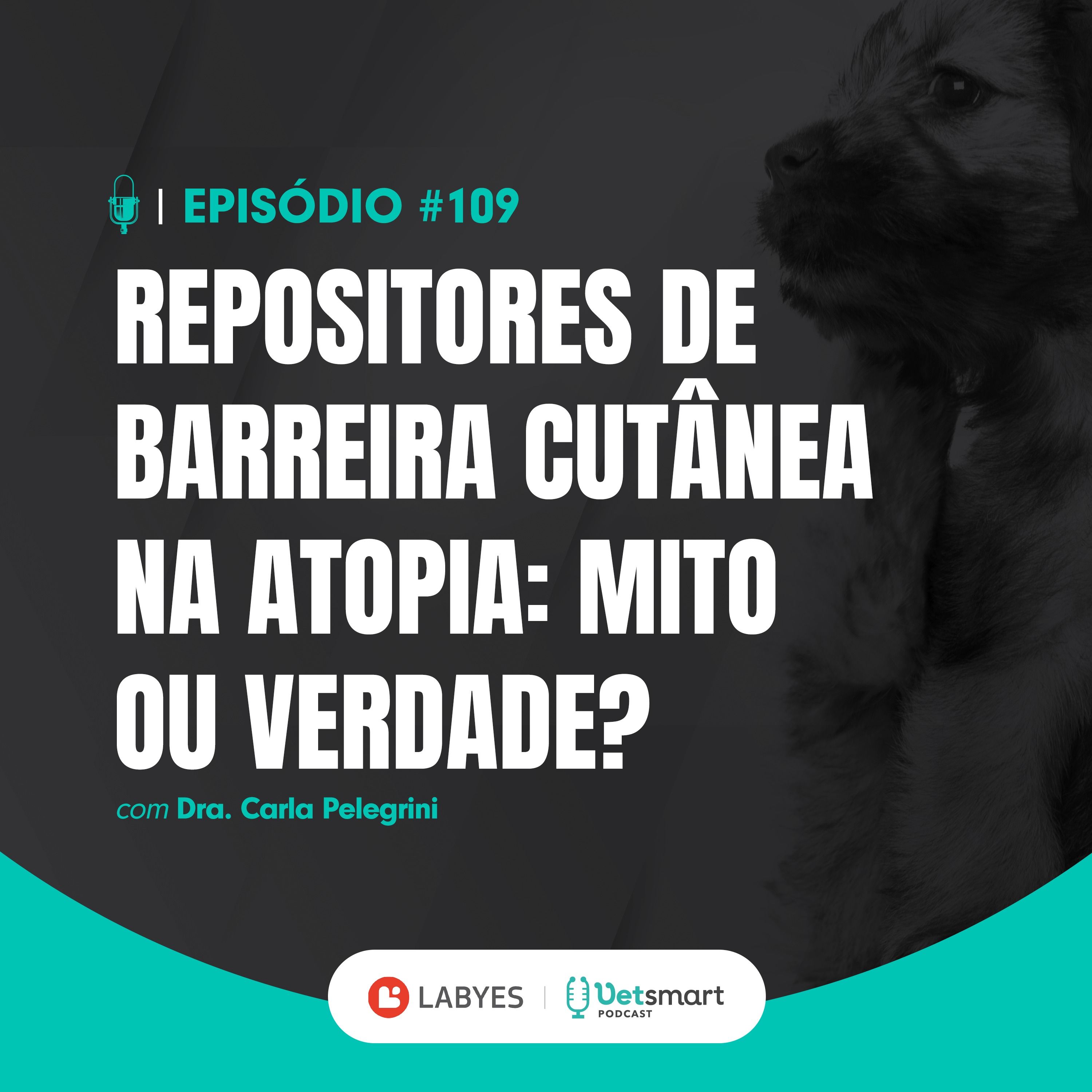 Repositores de barreira cutânea na atopia: mito ou verdade?