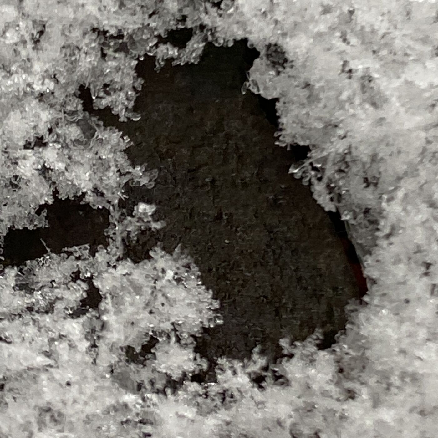 Let&rsquo;s Feed the LIGHT