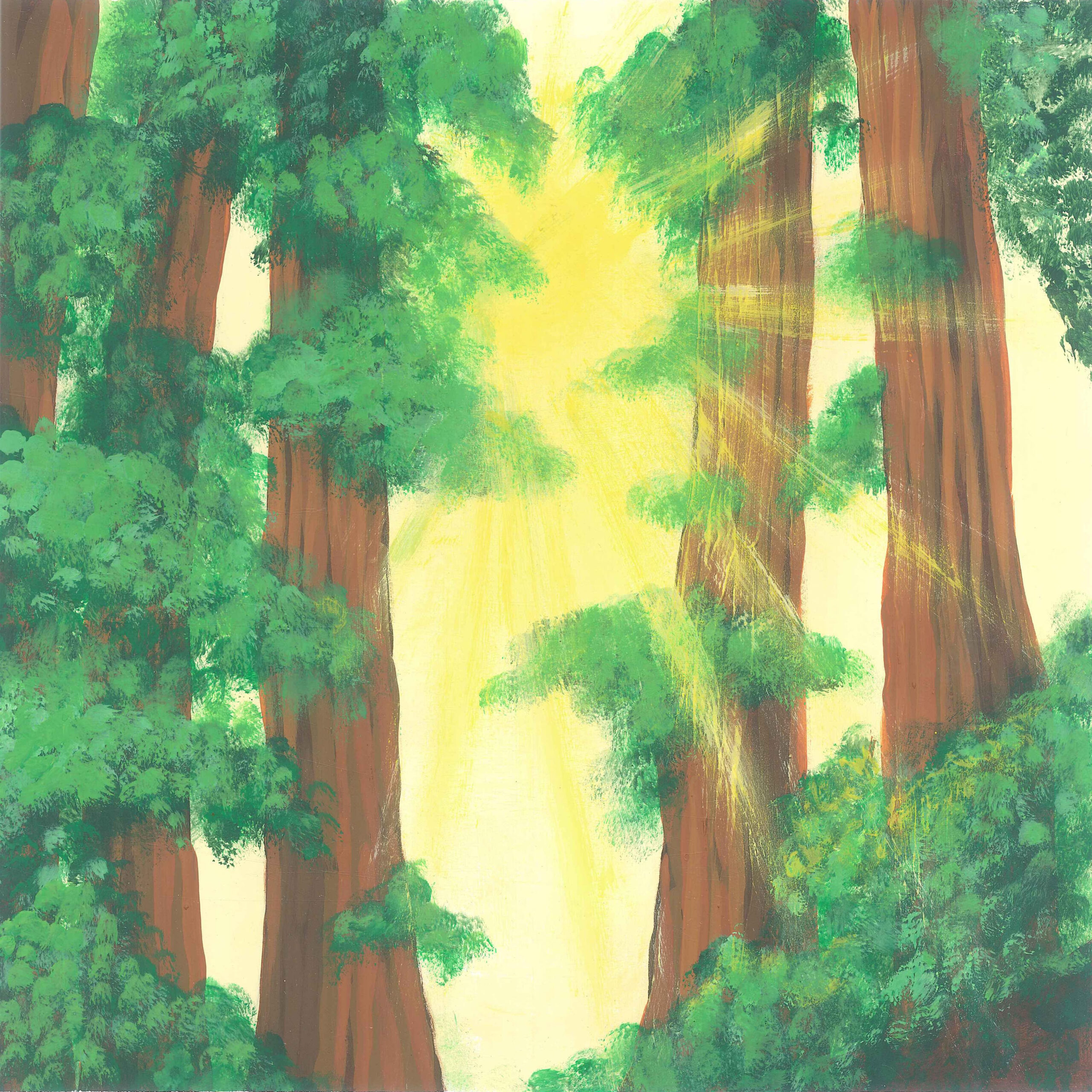 First Stirrings of First Light in a Pine Forest