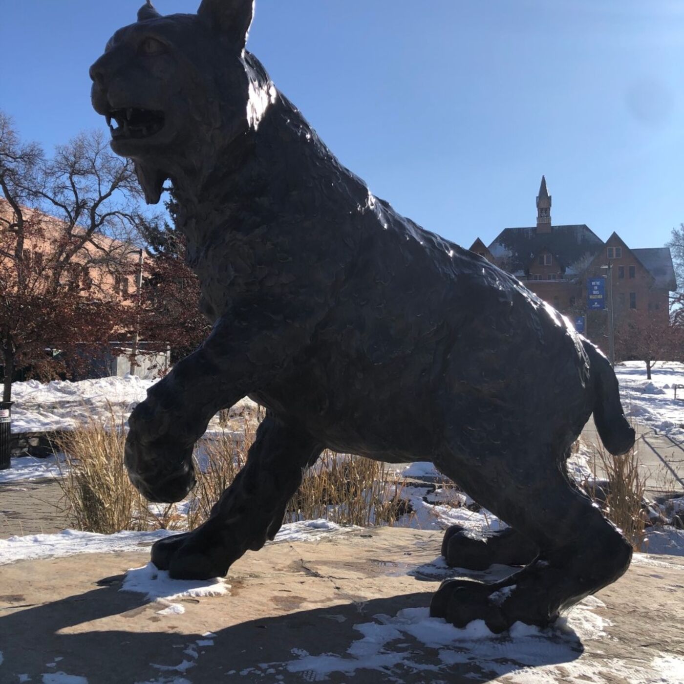 Diversity, Equity and Inclusion Under the Big Sky 