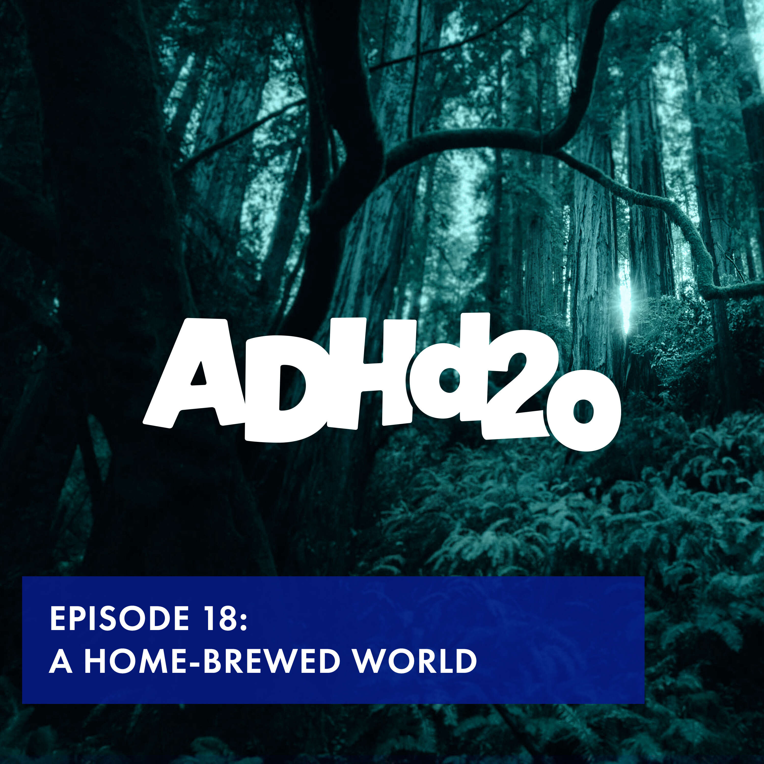 ADHD20 s01e18: A Home-Brewed World