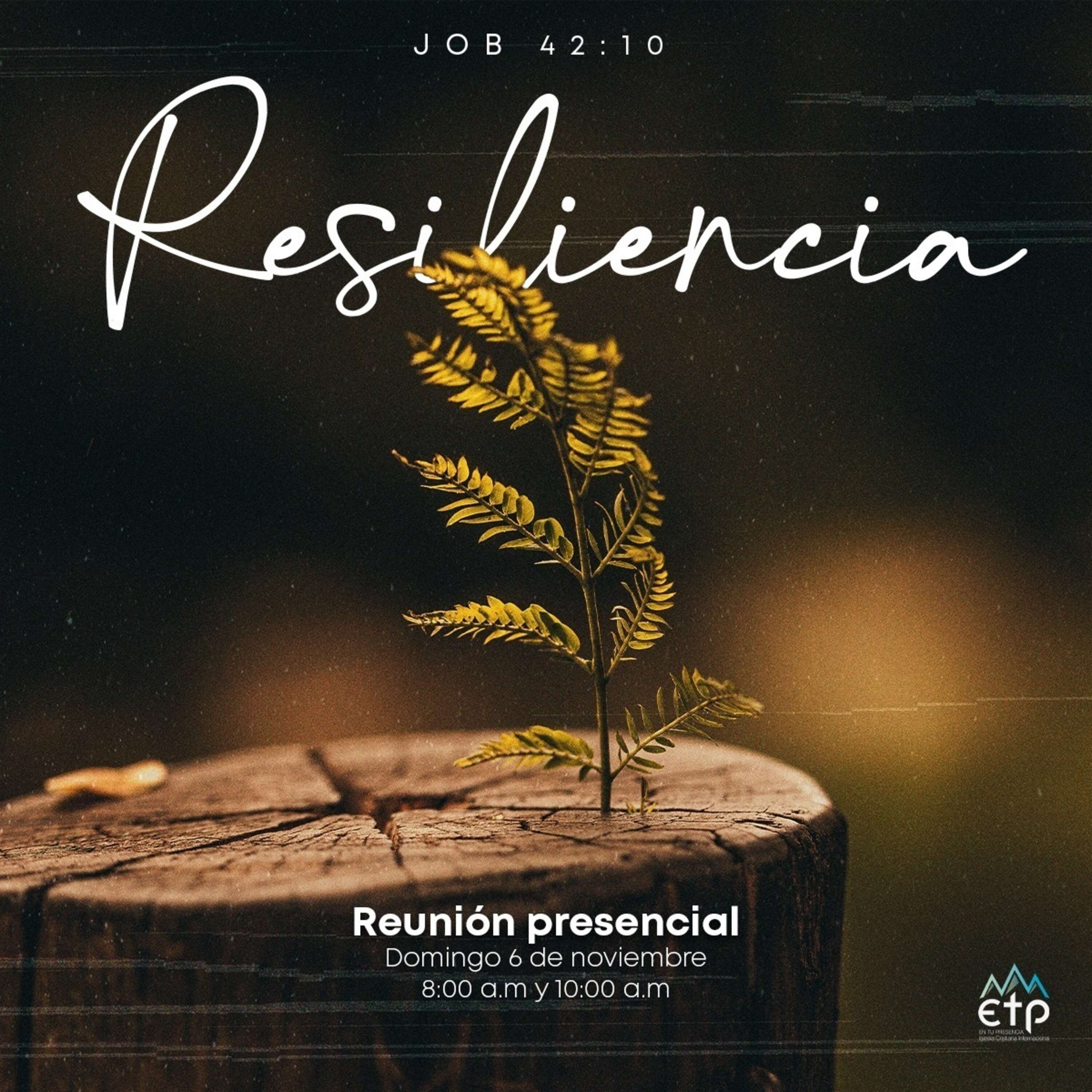 ⁣Resiliencia en tu vida, tu familia y tu descendencia